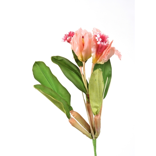 DIY Flower Sonia Cattleya Orchid Stem