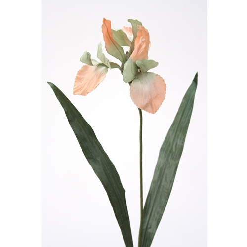 DIY Flower Sonia Celedon Large Iris