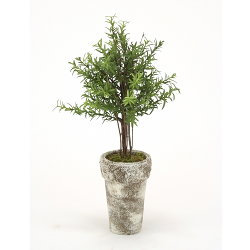 Silk Double Rosemary Topiary Tree with Birch Limbs in Aged Antique ...