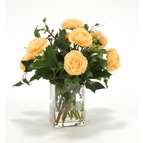 Waterlook ® Apricot Yellow Ranunculus with Ivy and Basil in Square Glass