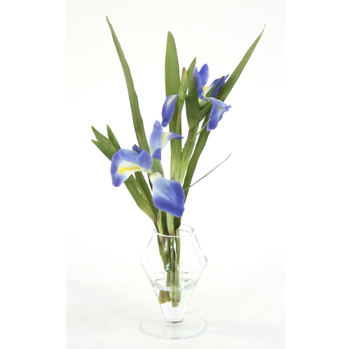 Waterlook ® Blue Iris in Glass Urn