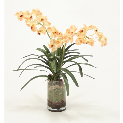 Waterlook ® Champagne Vanda Orchid Silk Floral Arrangement with Orchid Bark in Clear Glass