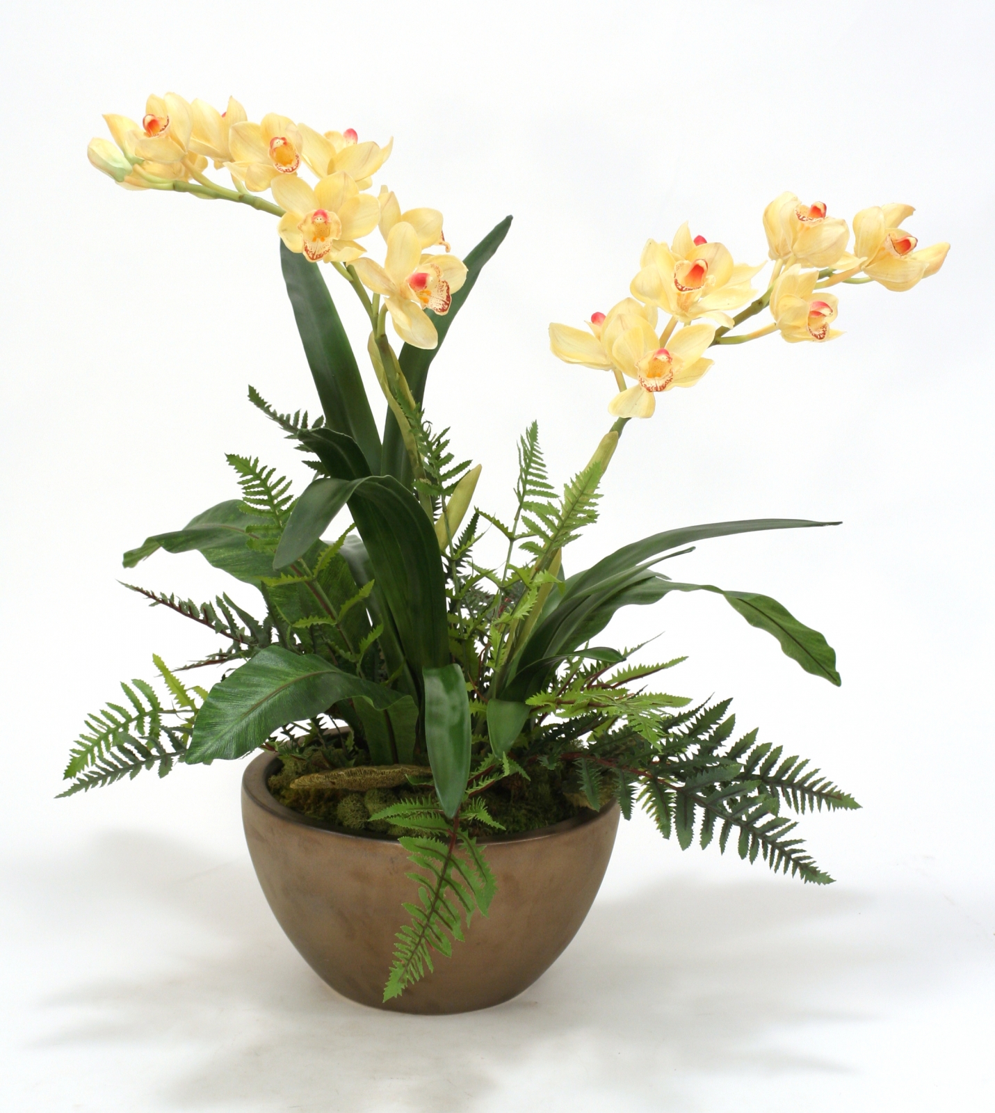 Silk Orchids with Fern Mix in Bowl