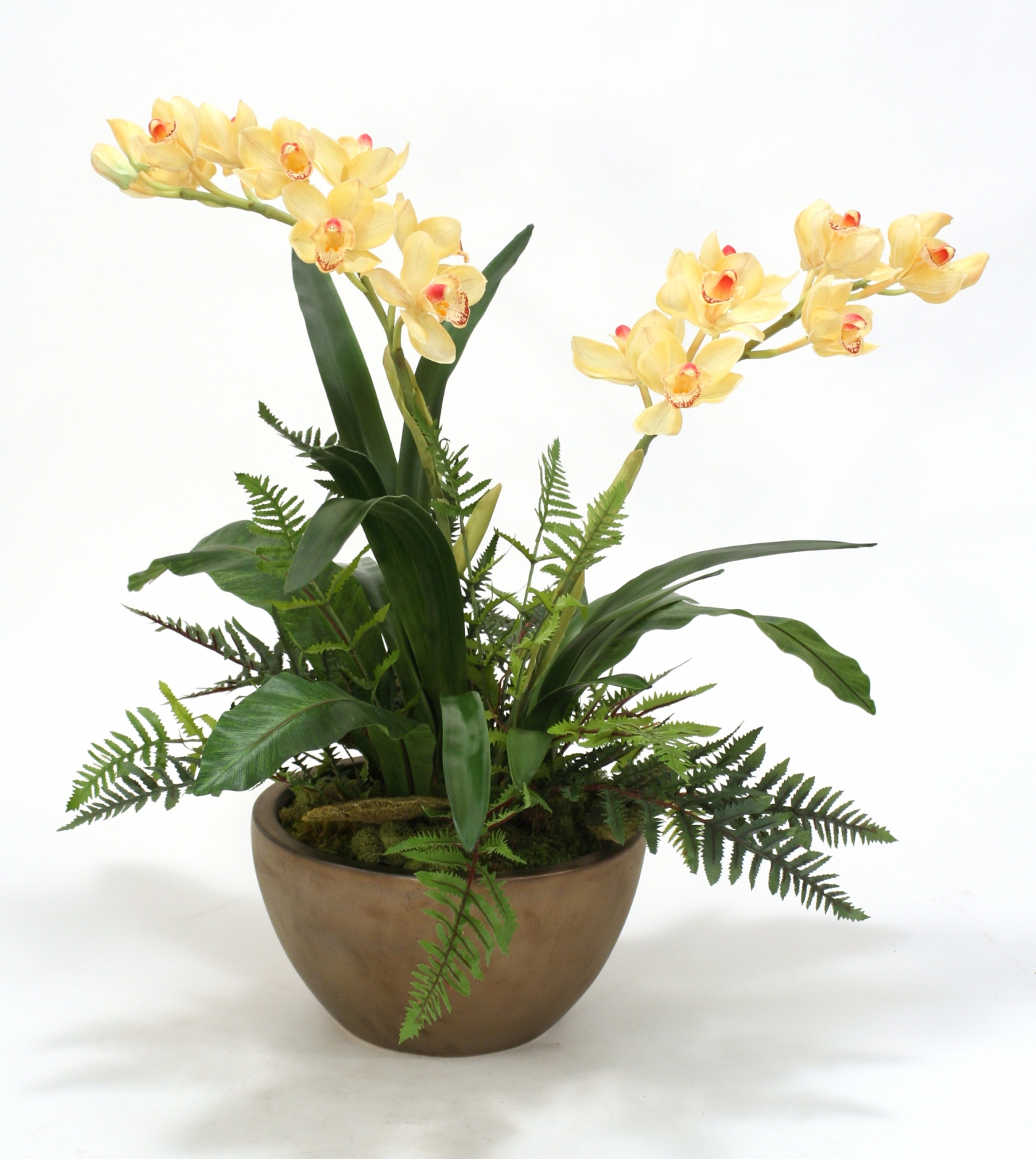 Silk Orchids with Fern Mix in Bowl | Free Shipping in USA | 1001Shops