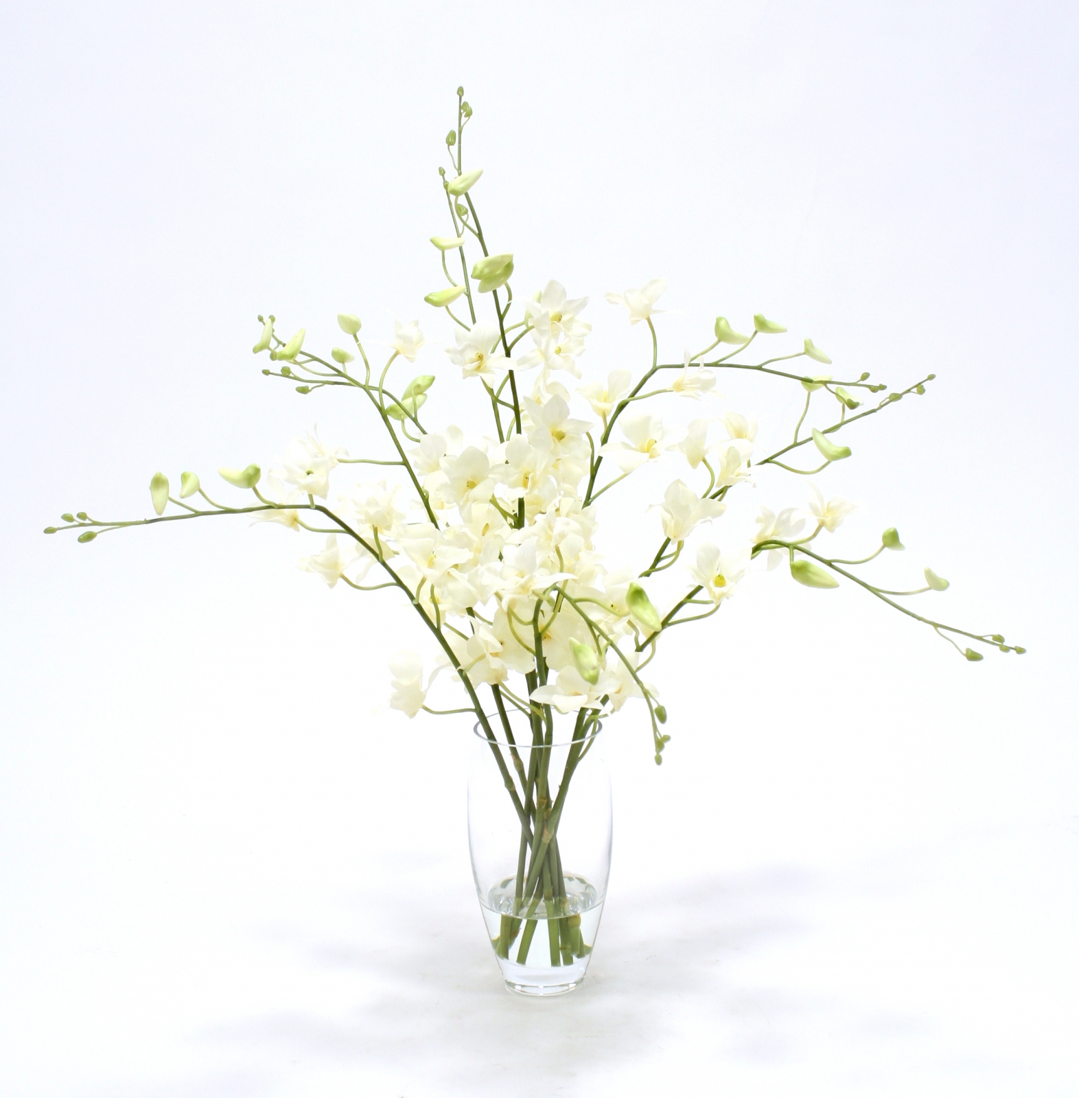 Waterlooka Silk Orchids In Elliptical Glass Vase Free Shipping