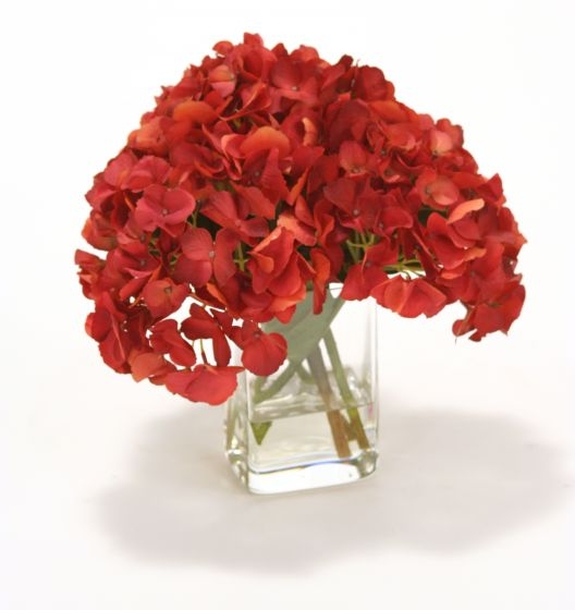 Waterlook (R) Dark Red Hydrangea in Square Glass Vase