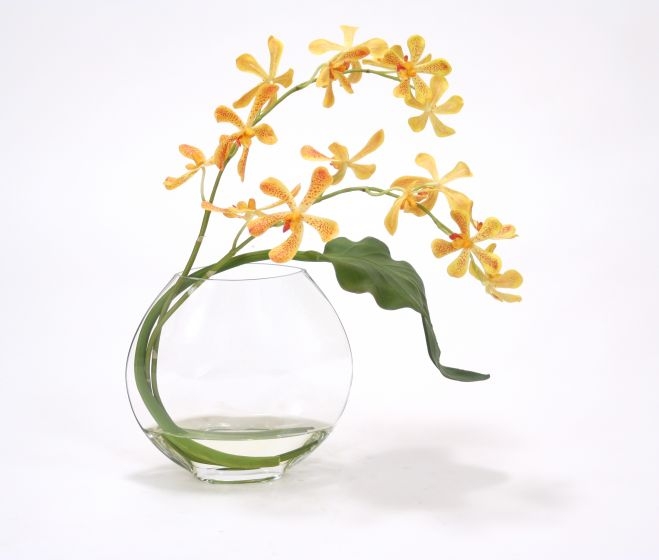 Waterlook (R) Gold Vanda Orchids with tropical leaf in Disk Vase