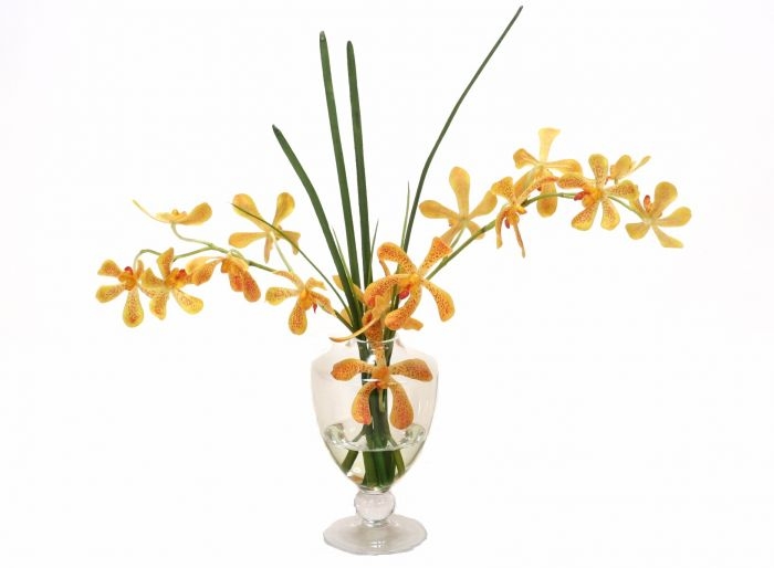 Waterlook (R) Yellow-Orange Vanda Orchids, Grass in Glass Urn