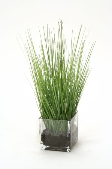 Waterlook (R) Two Tone Green Grass in Square Glass Cube ...