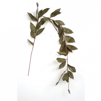 Garland - 5' Green with Gold Rubber Leaf Garland with Twigs and 31 Leaves