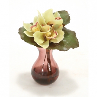 Waterlook ® Fall Looking Green Cybidium Orchid Bouquet in Plum Bulb Forcer Vase