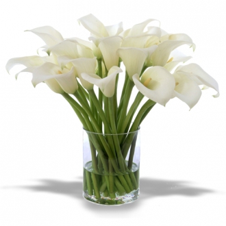 Waterlook ® Silk Cream-White Calla Lilies in a Clear Glass Cylinder