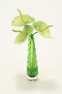 Waterlook (R) Green Anthuriums in Green-Striped Vase