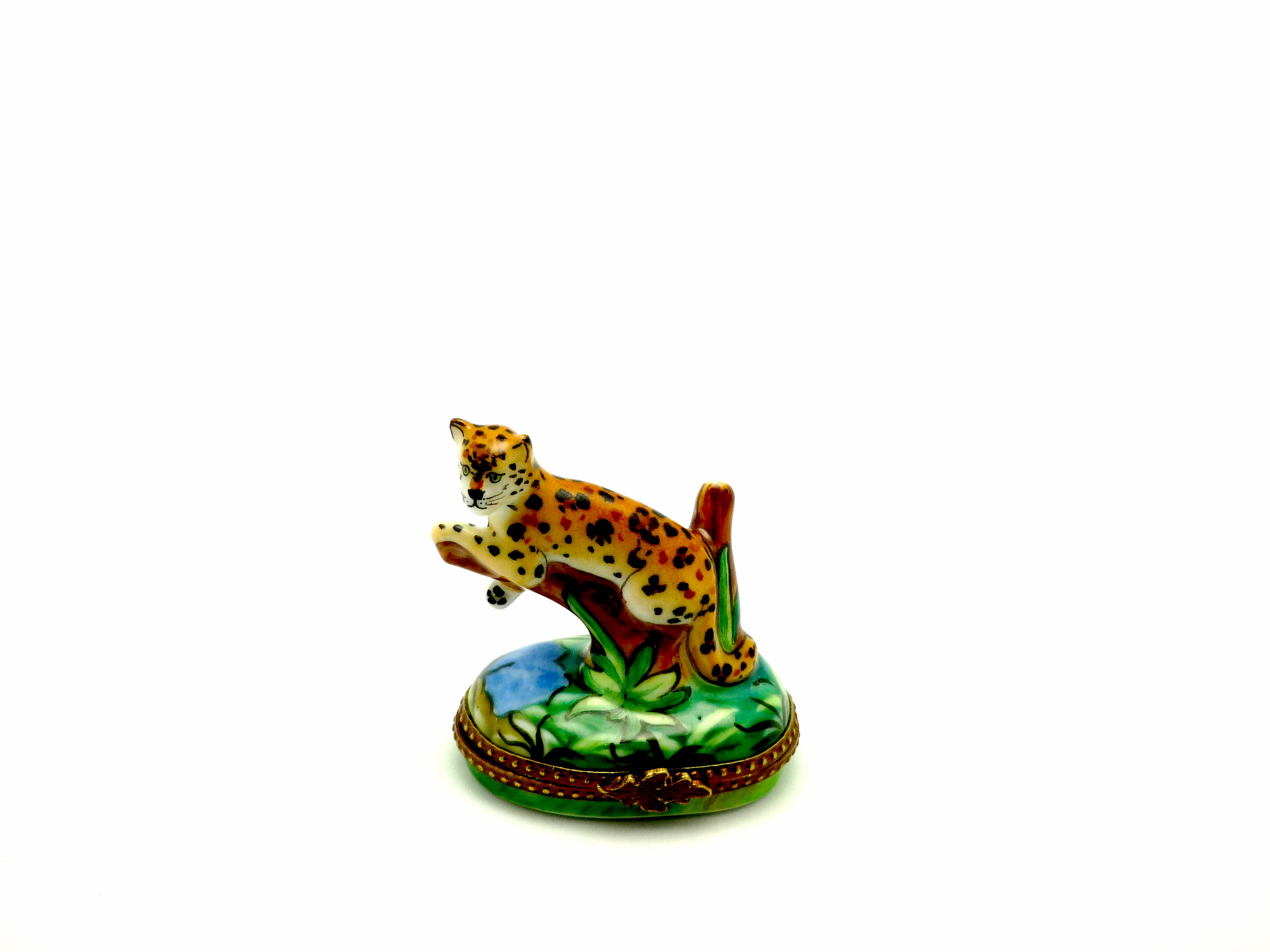 Leopard on branch