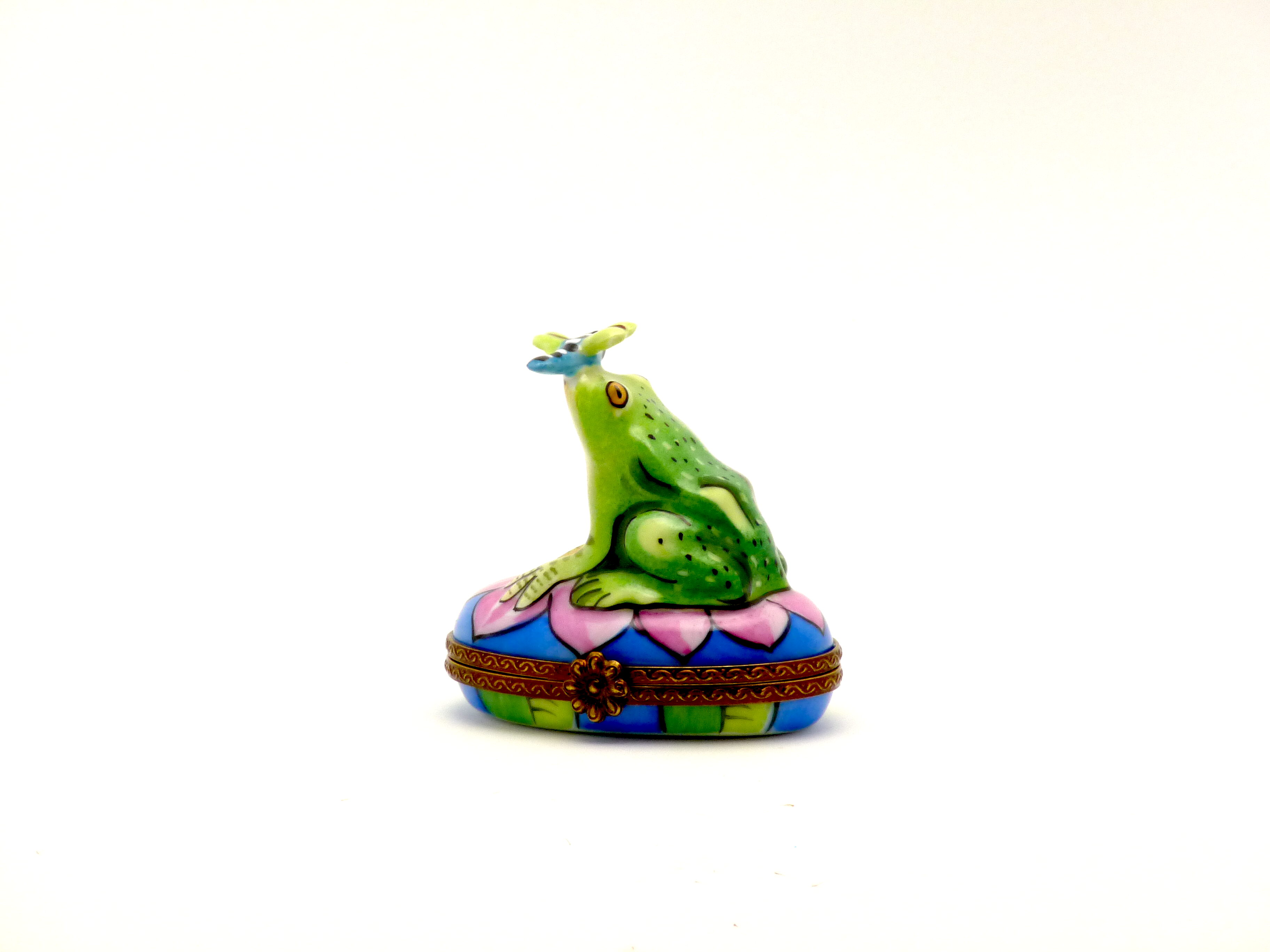 Frog with dragongly