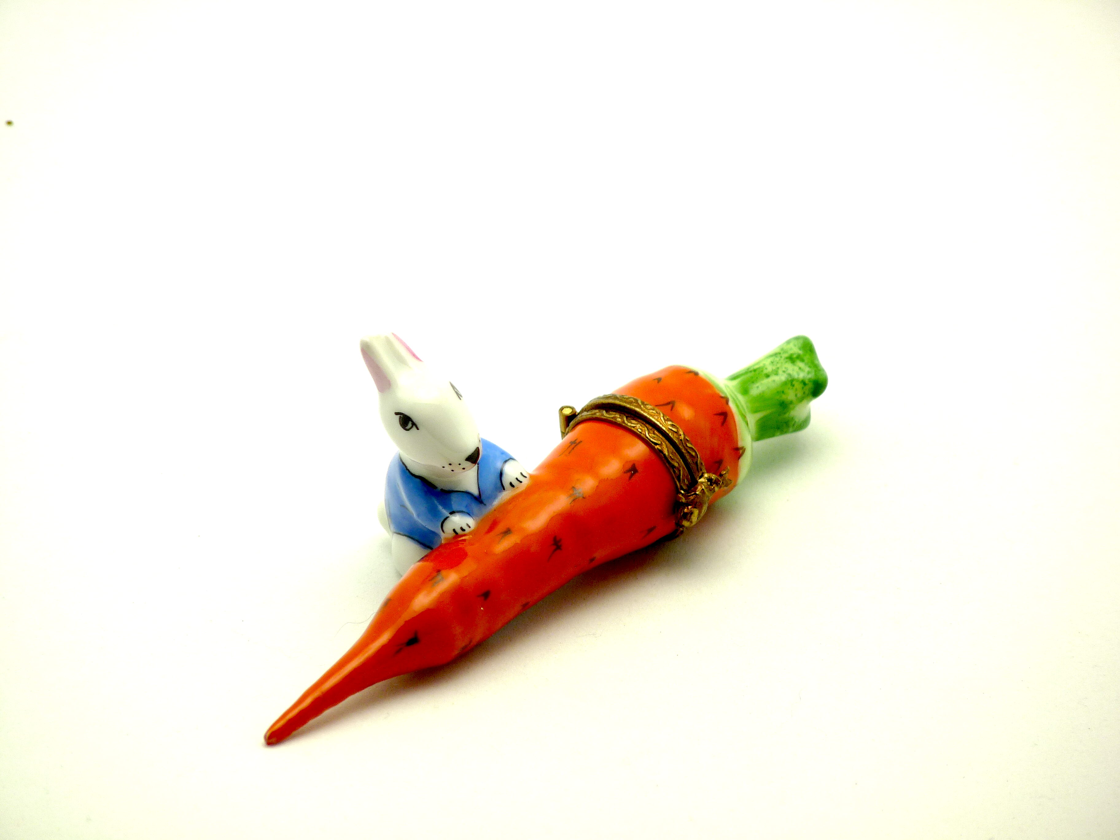 Rabbit on carrot