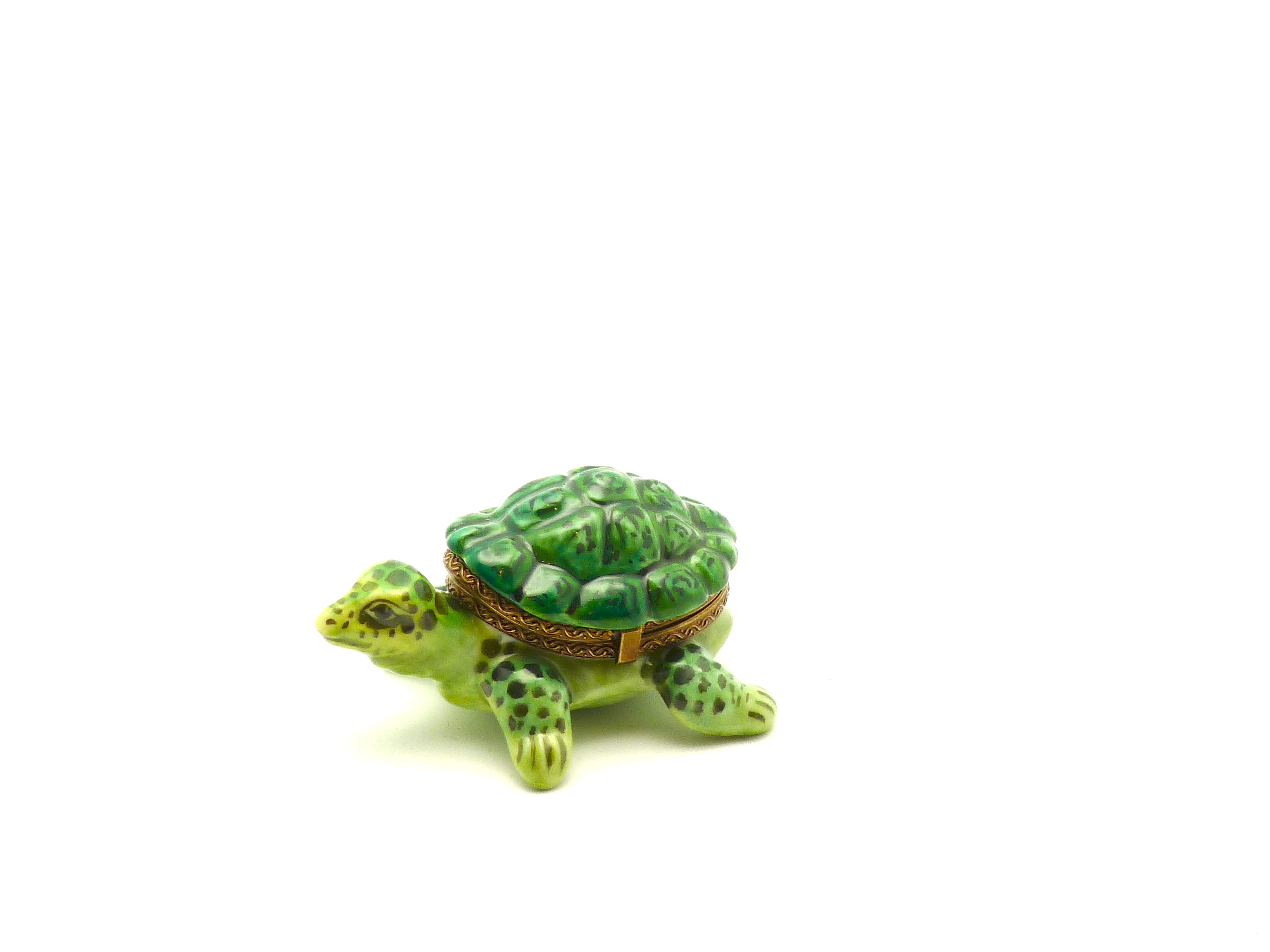 Turtle