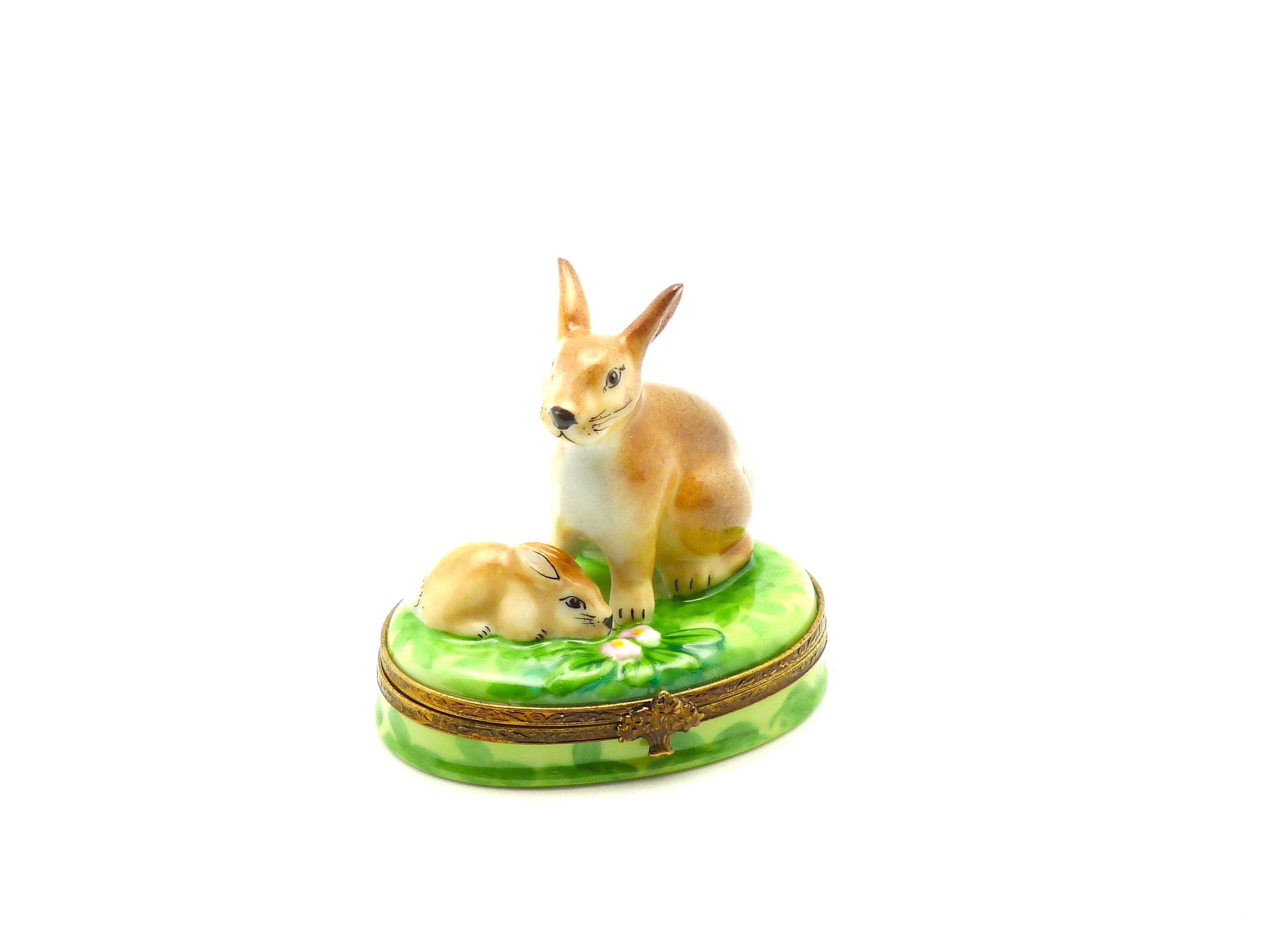 Rabbit with baby