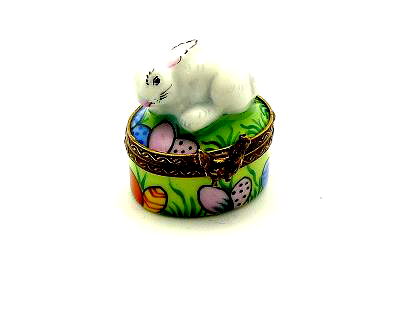 Mini rabbit