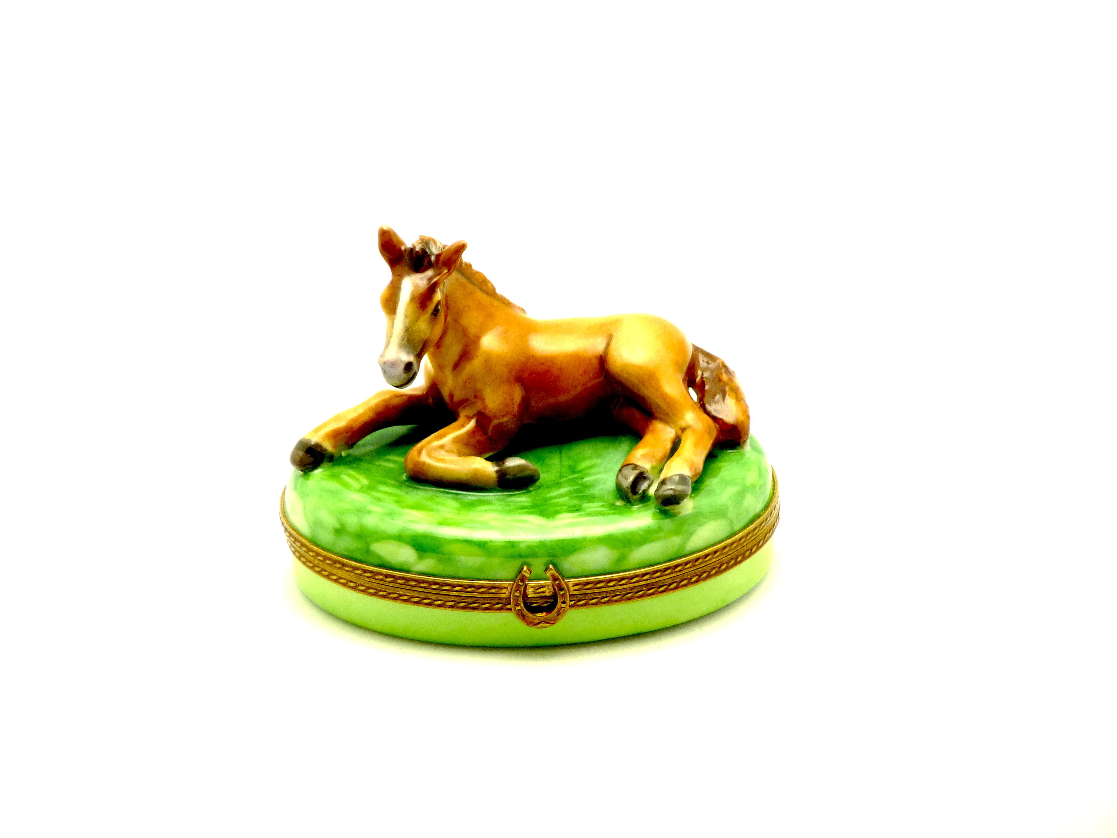Horse sitting