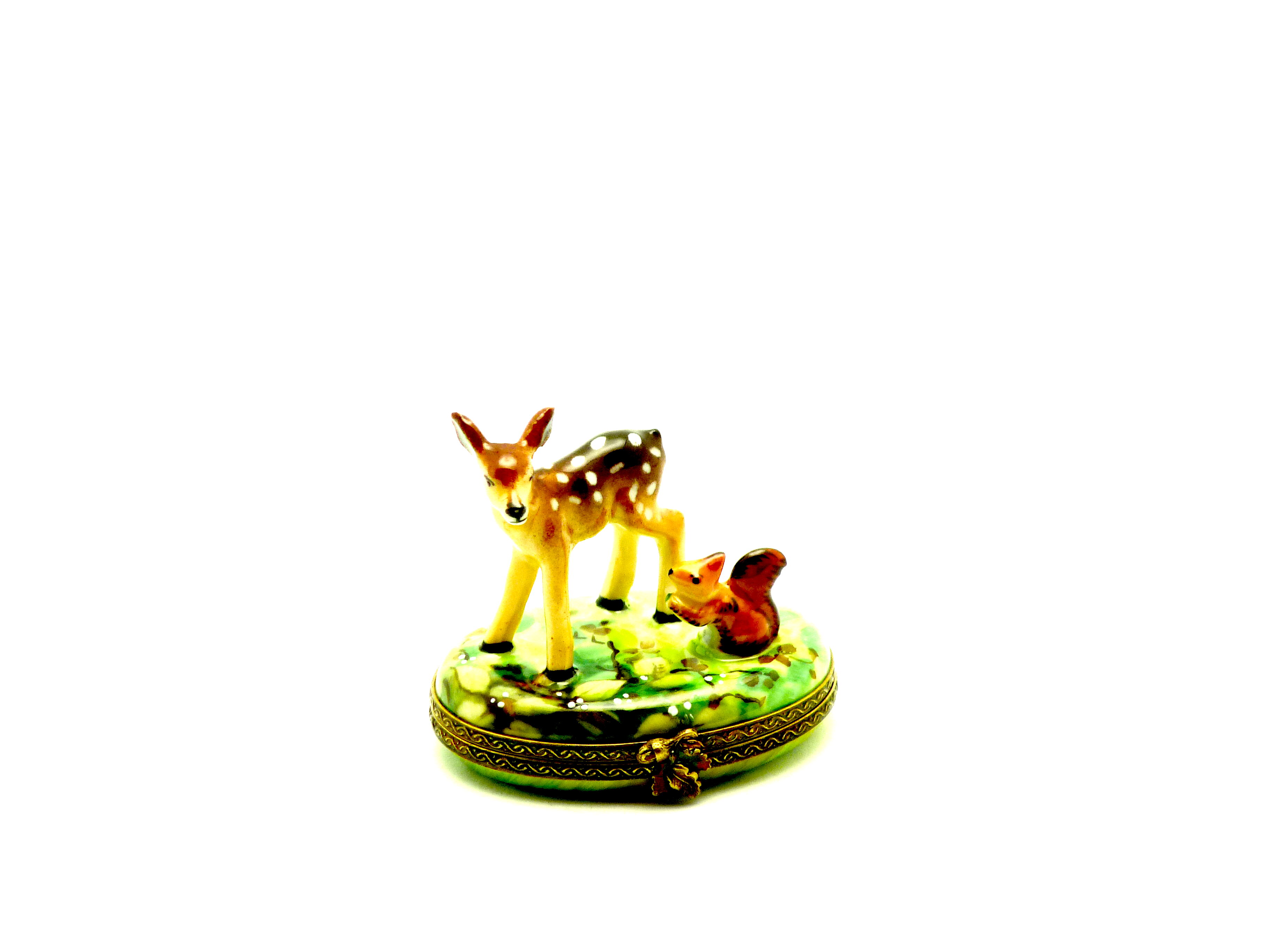 Baby deer with squirrel