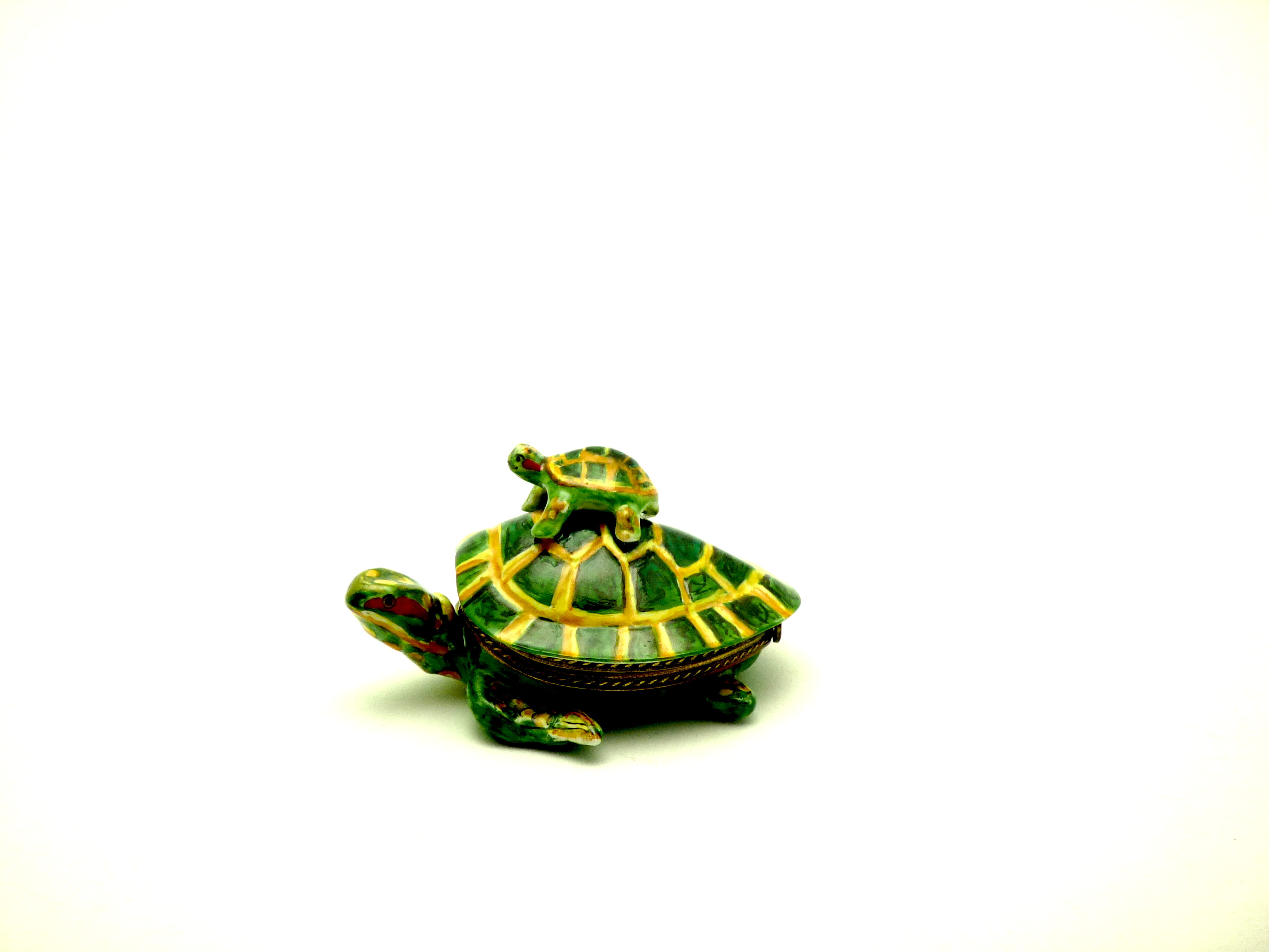 Turtle with baby turtle
