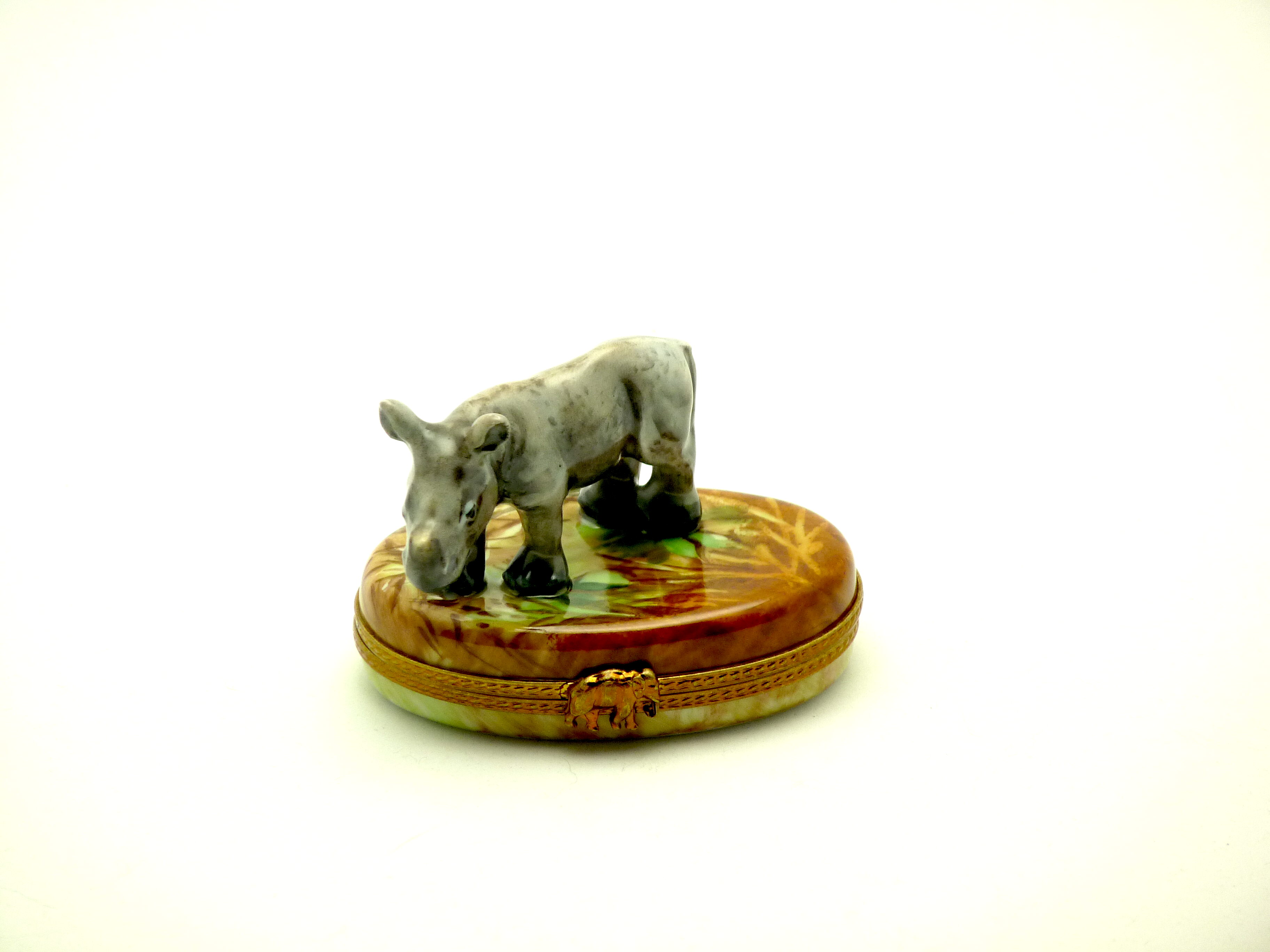 Rhinoceros