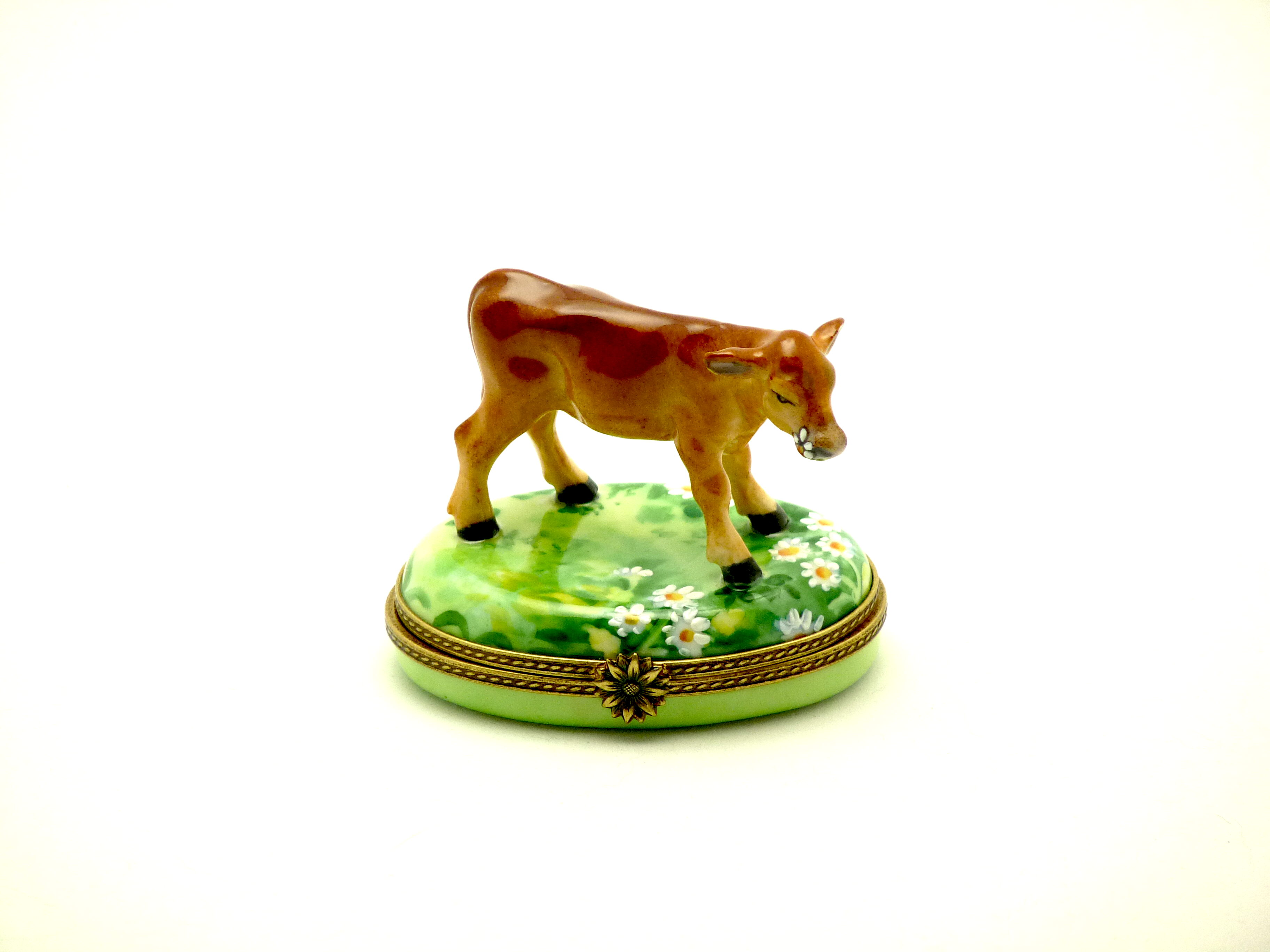 Young cow