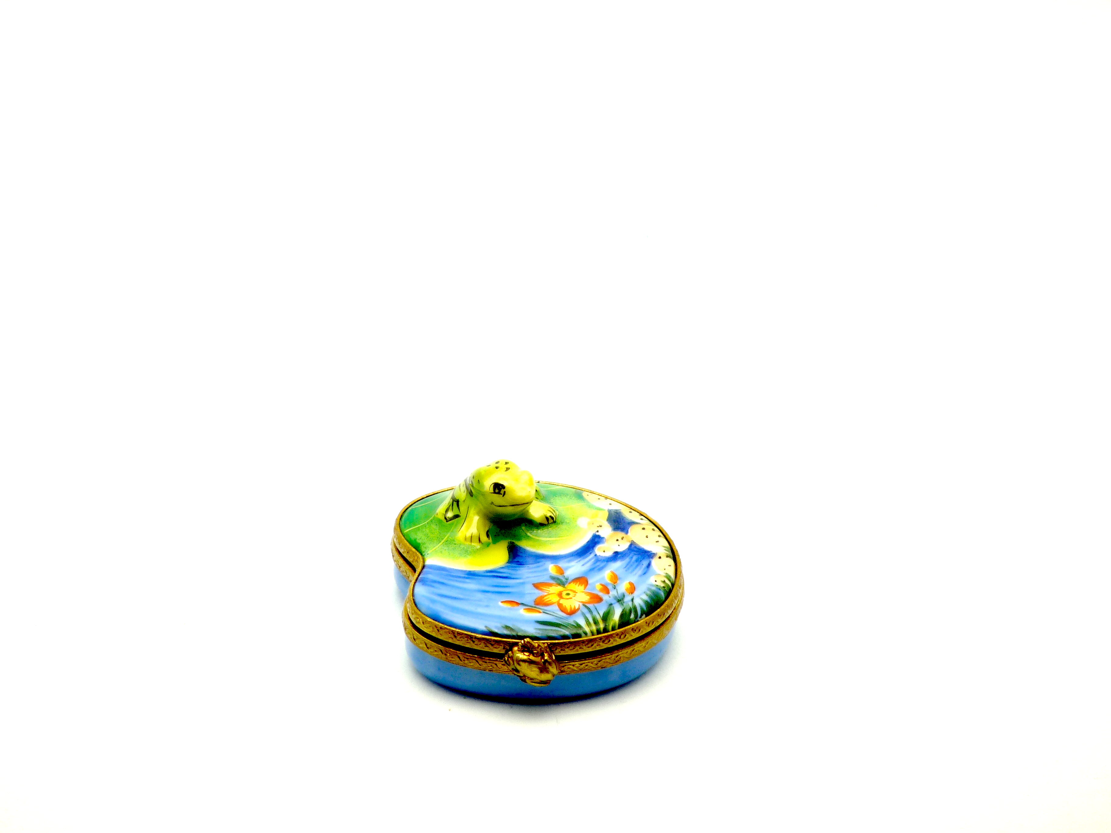 Frog by the lily pond