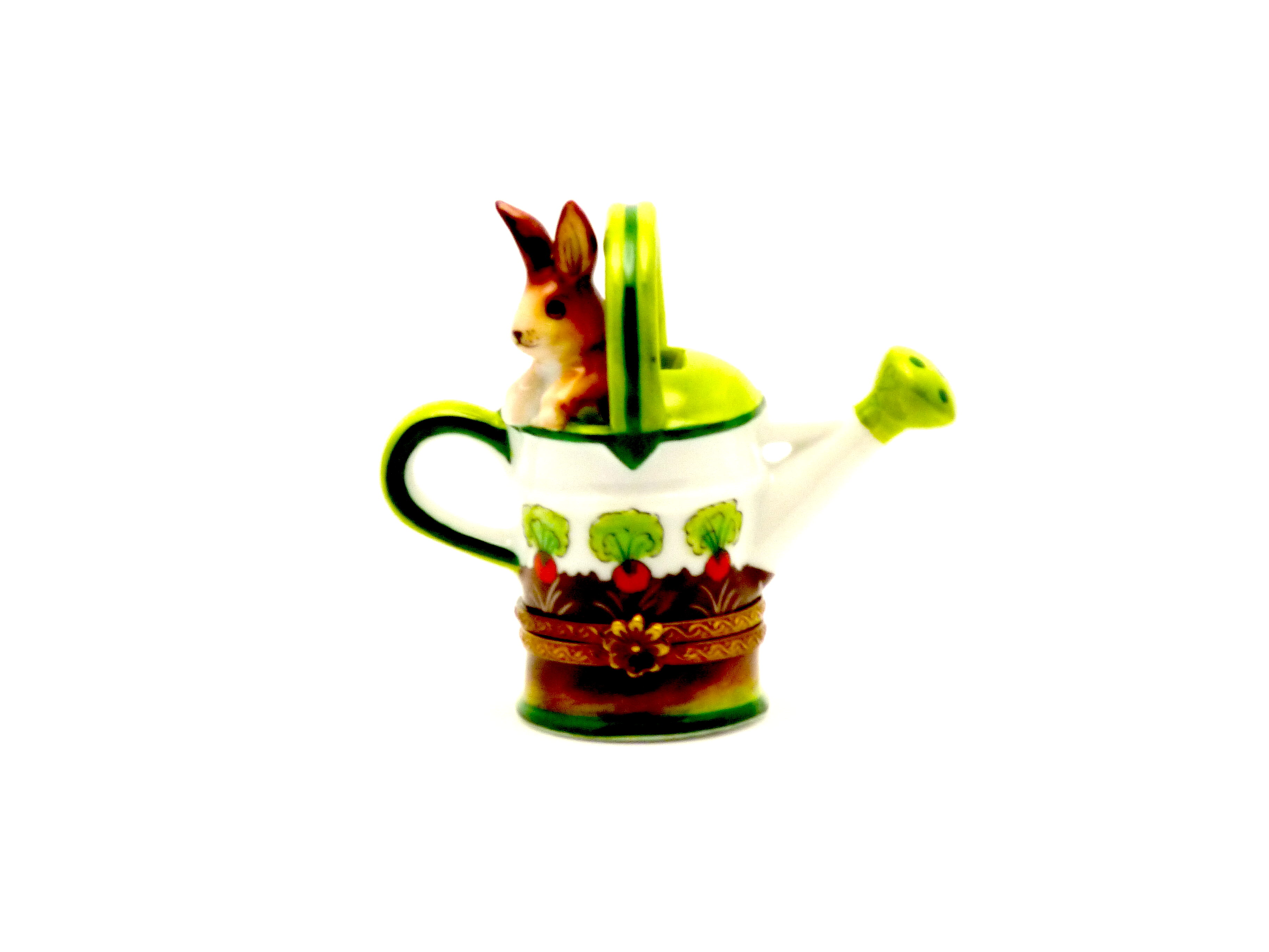 Rabbit in watering can