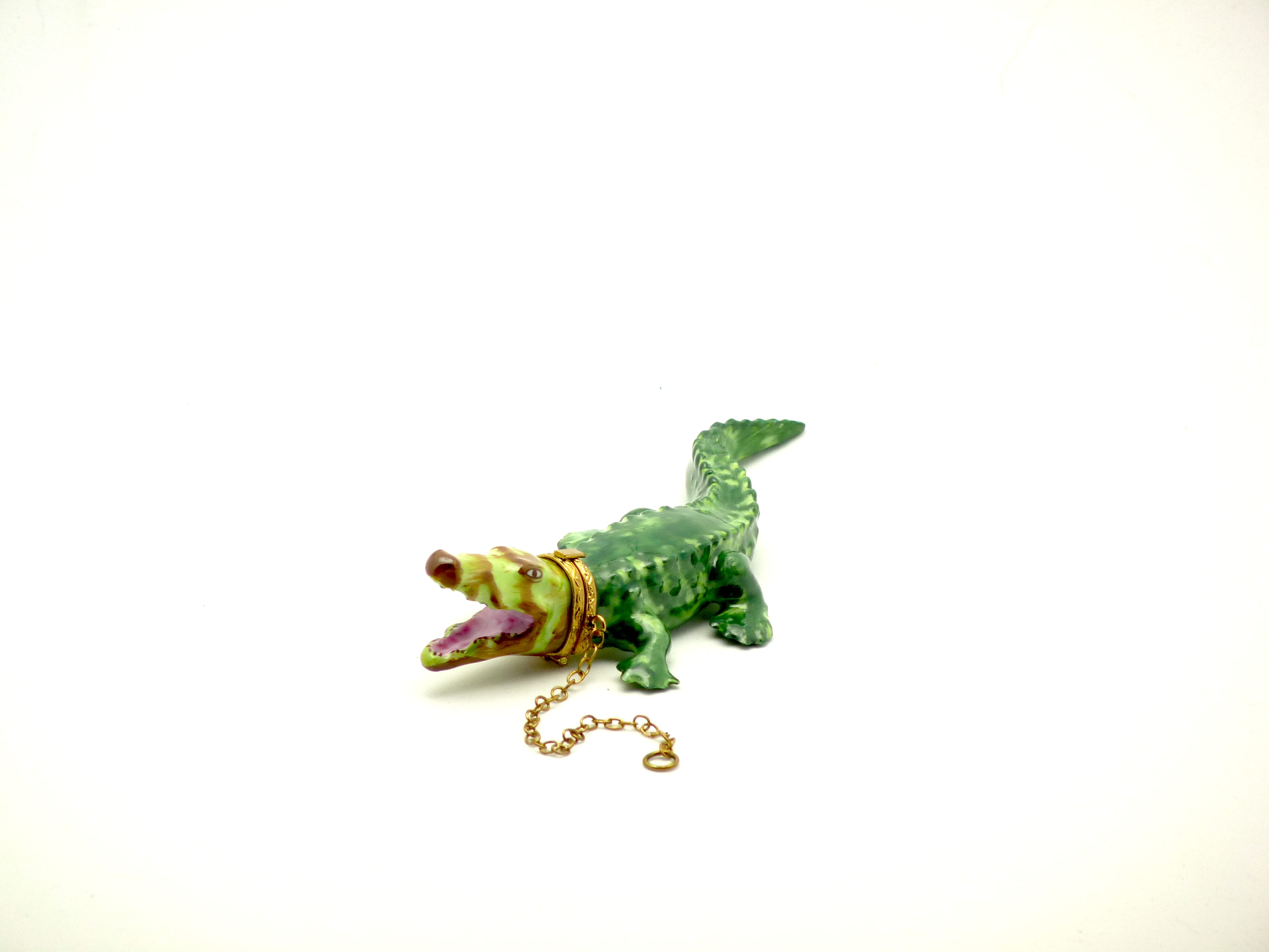 Alligator