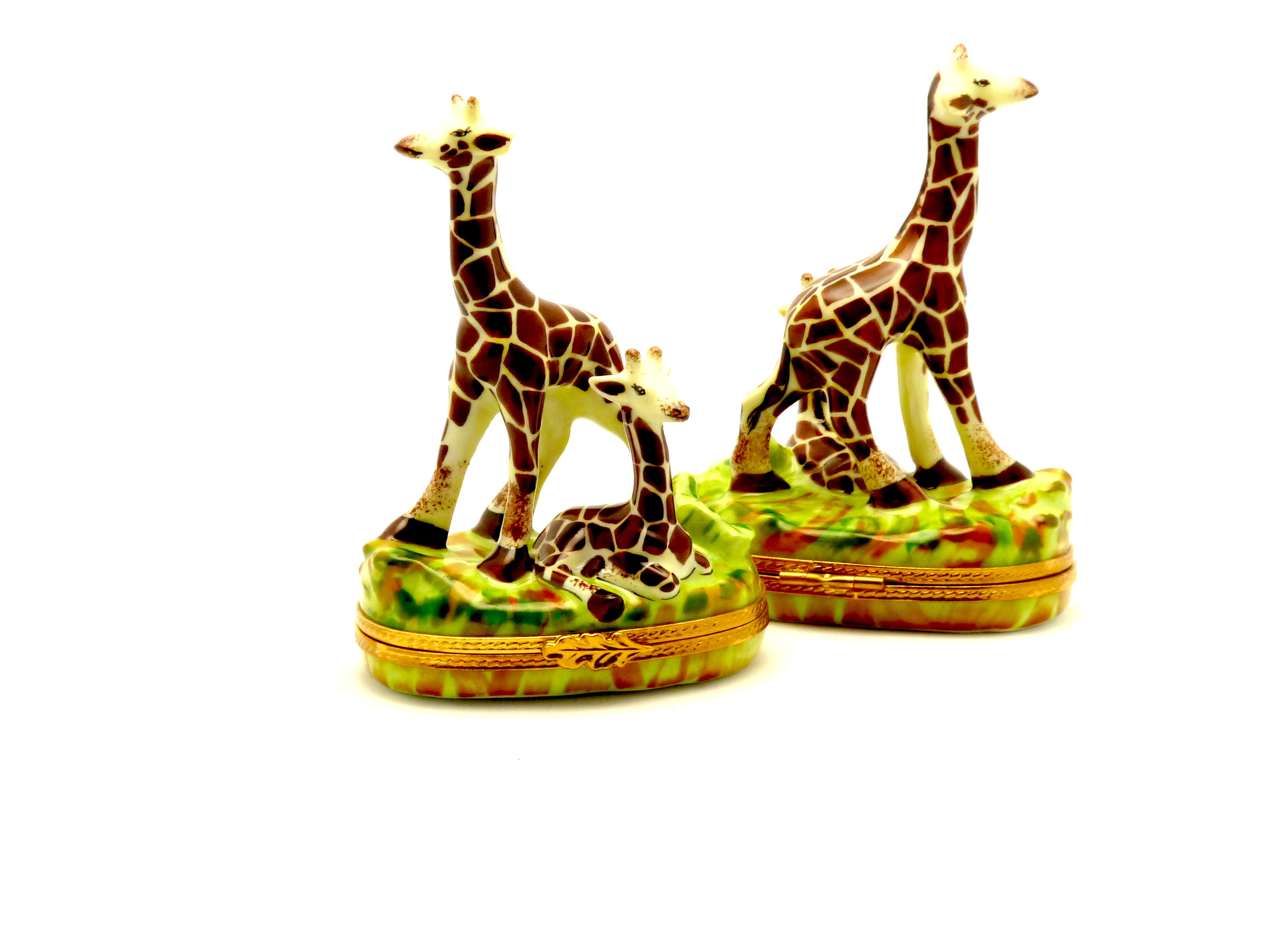 Giraffe with baby