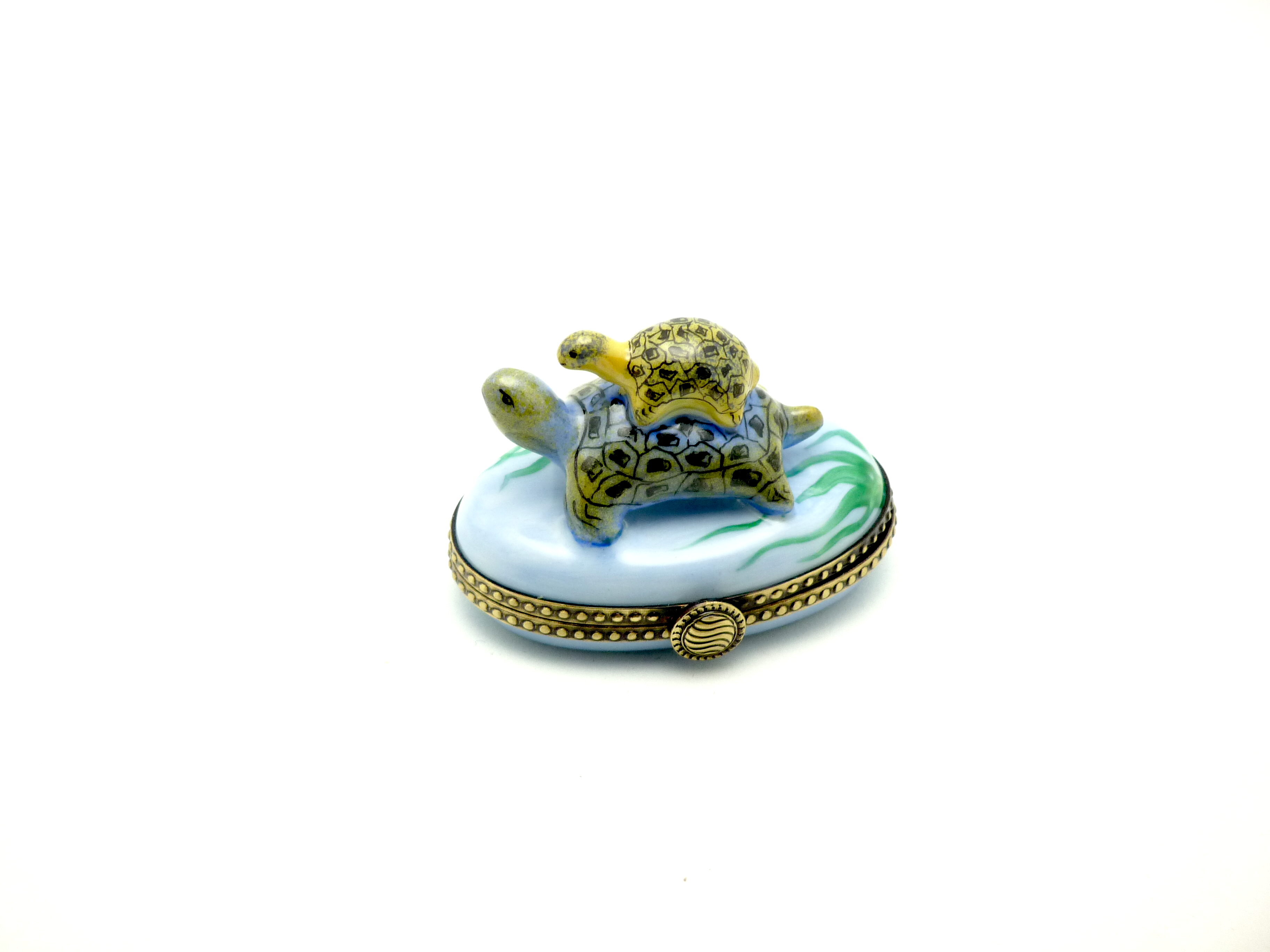 Turtle with baby on blue base