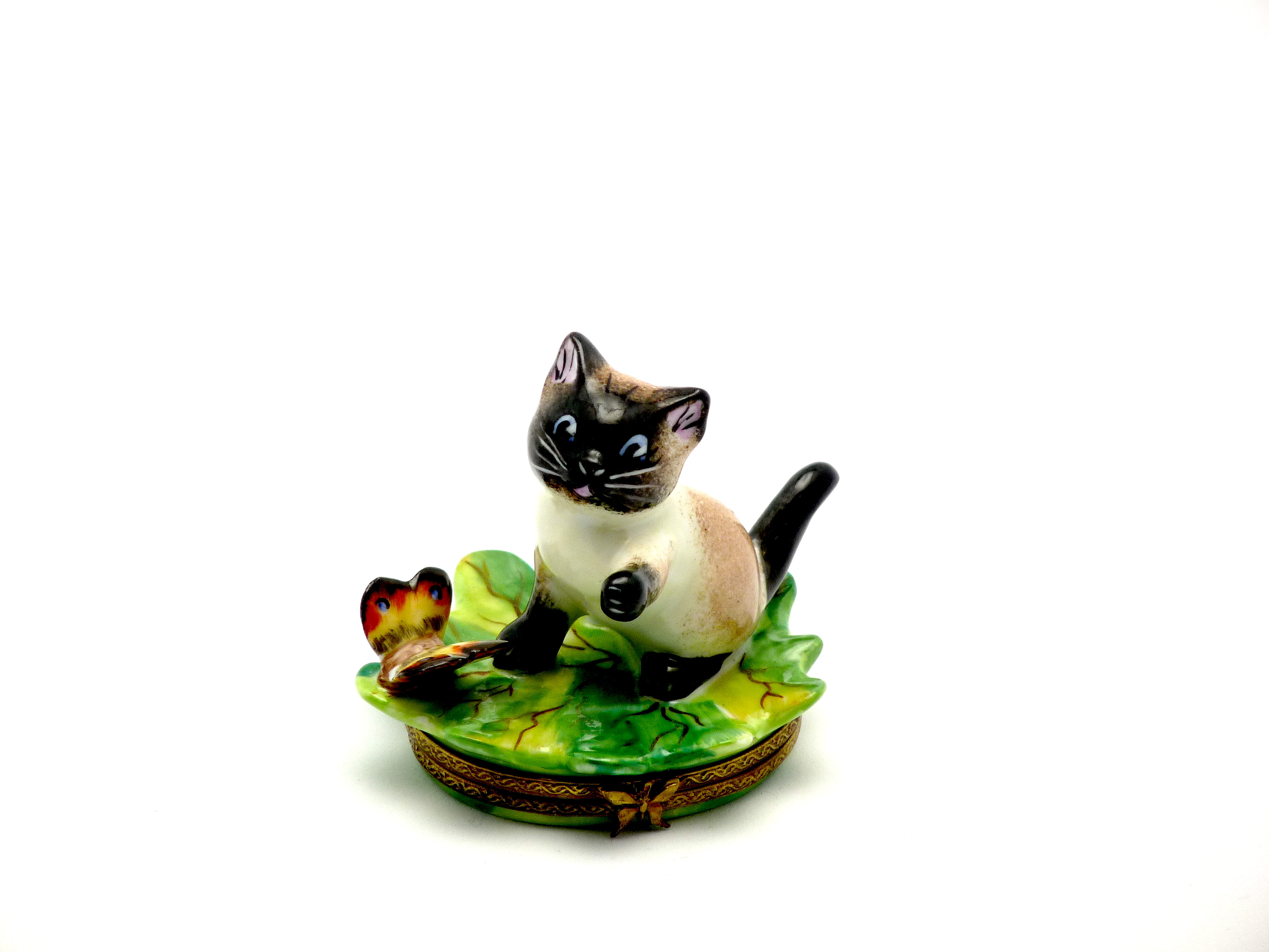 Siamese cat on leaf