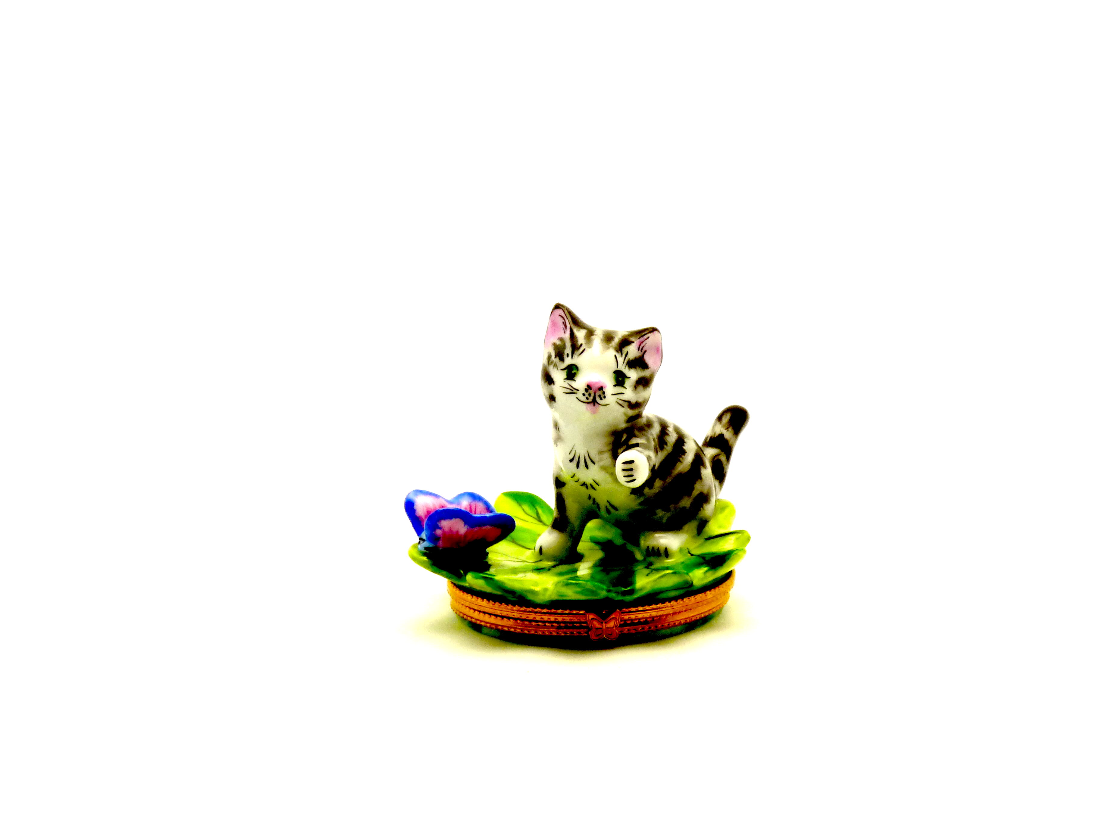 Black & White Cat on leaf