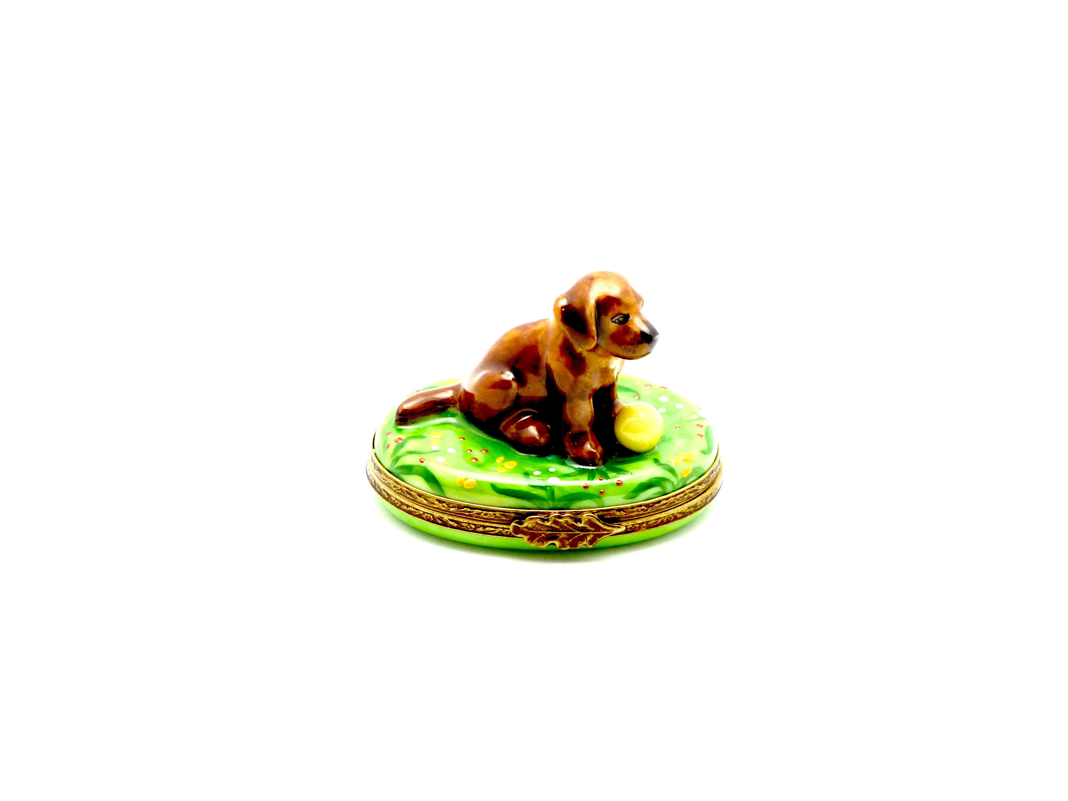 Labrador - Brown