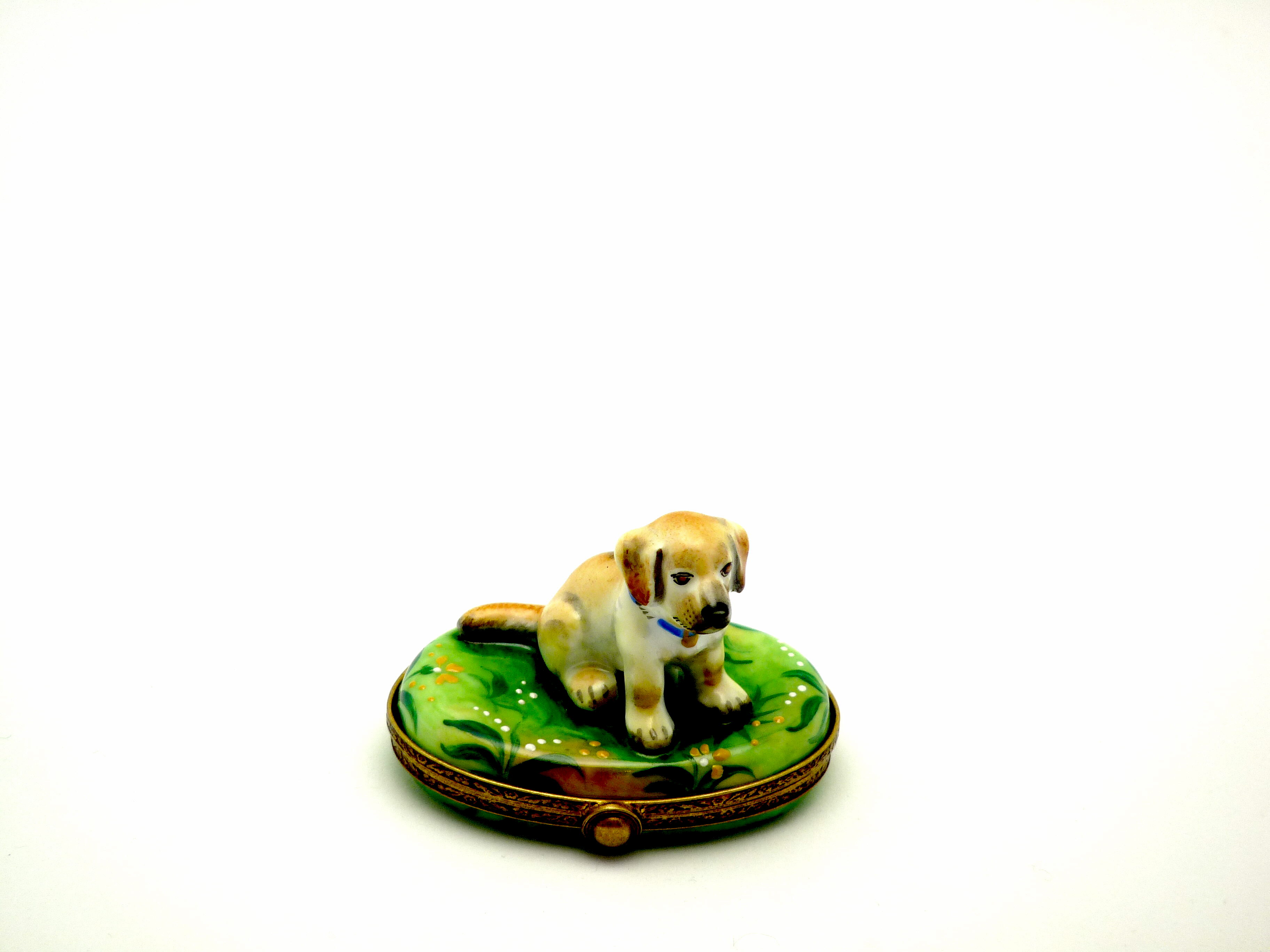 Labrador - Yellow
