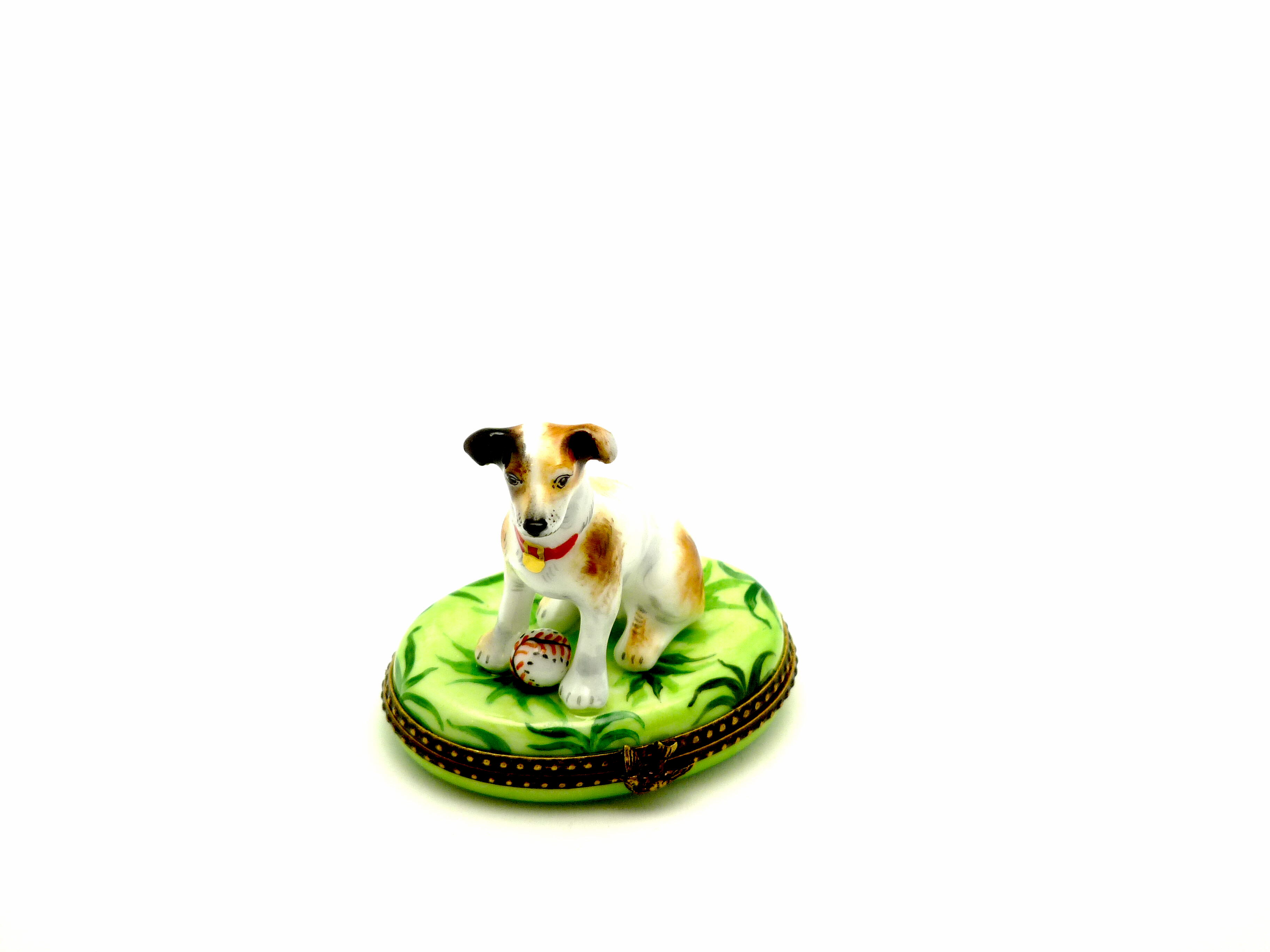 Jack Russell with ball