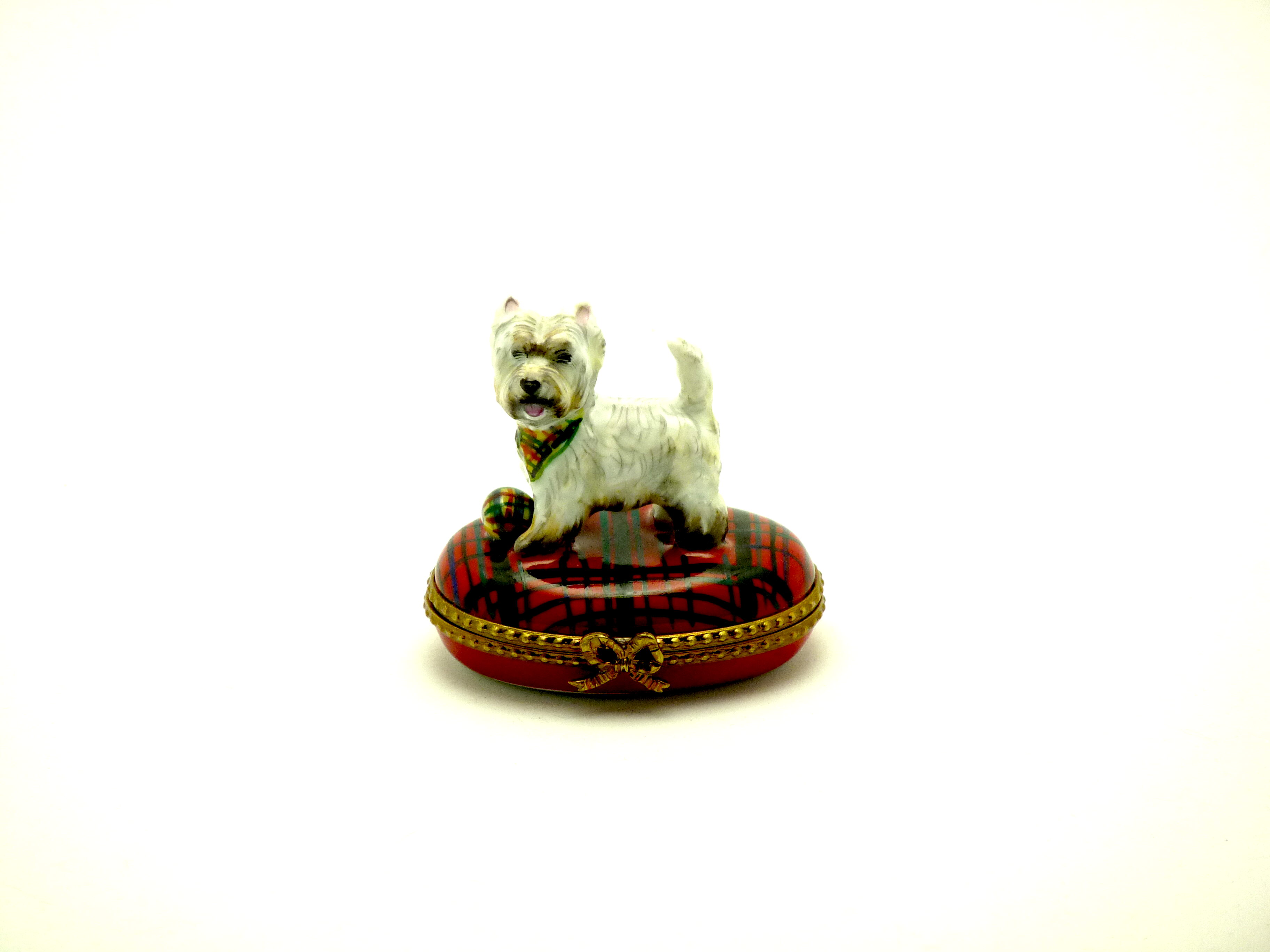Westie terrier dog
