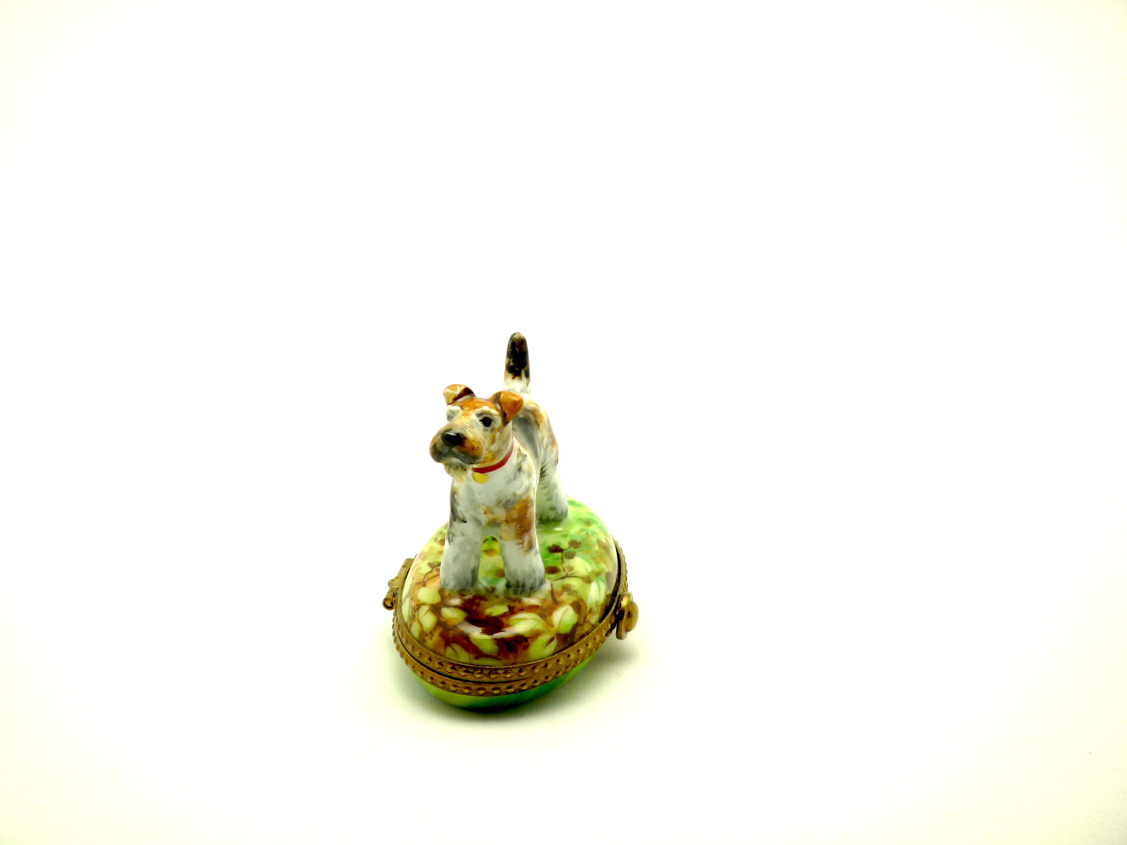 Schnauzer dog on oval