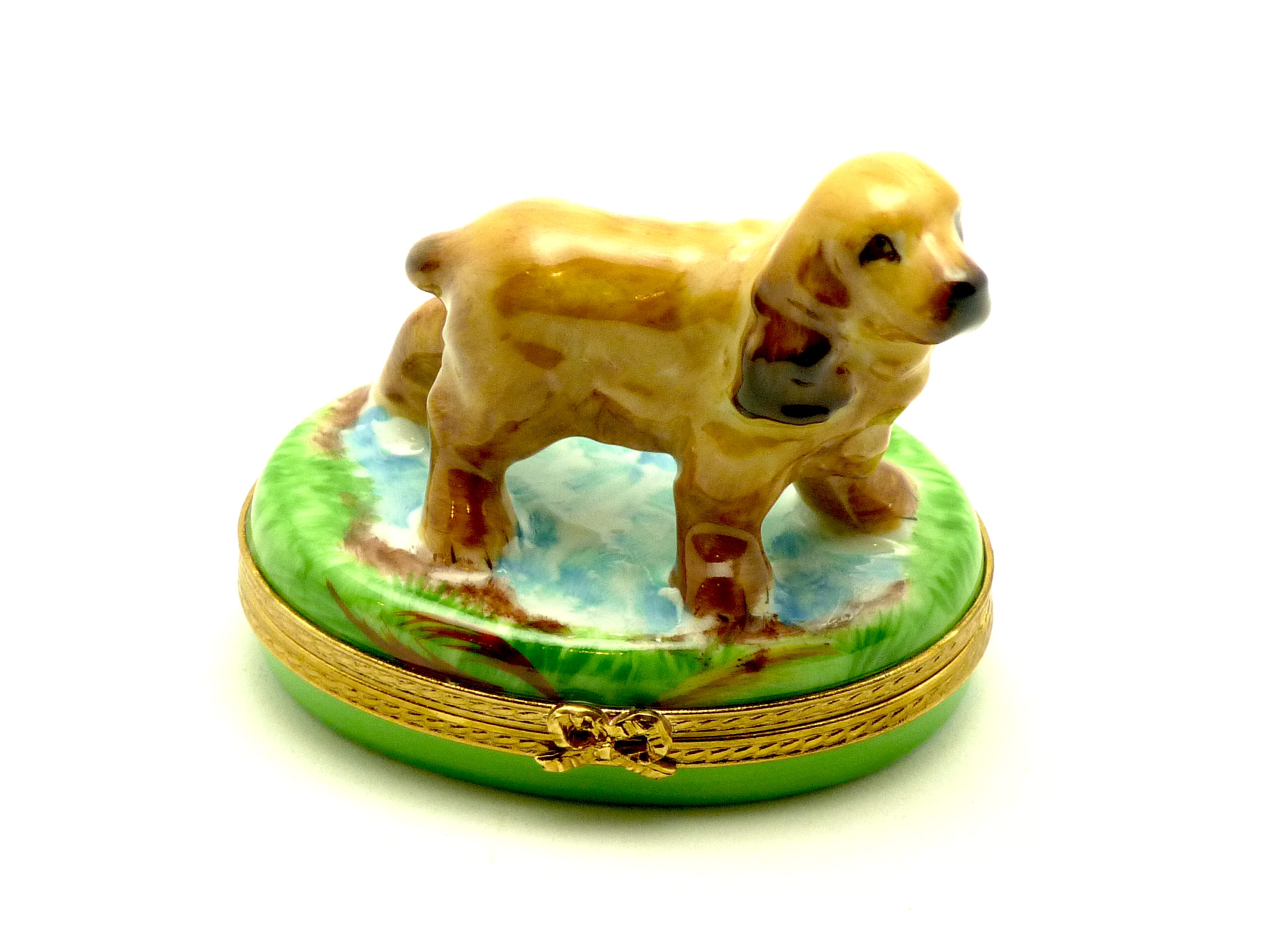 Cocker spaniel