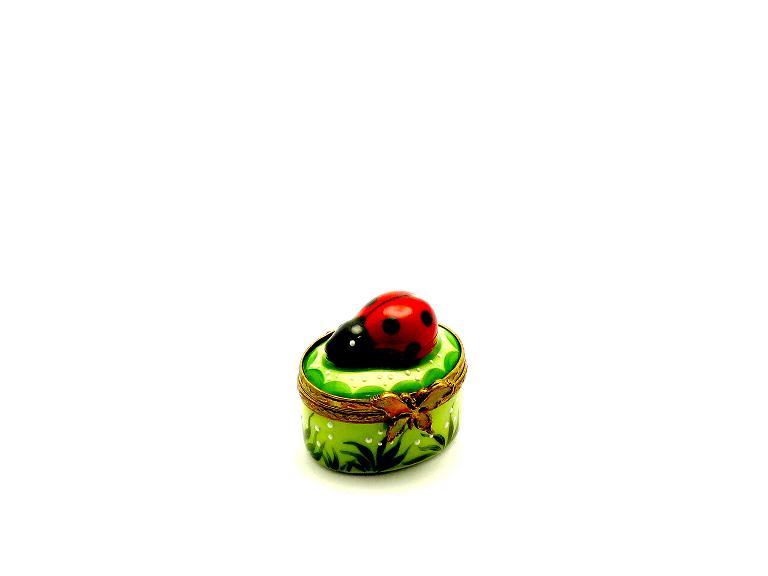 Lady bug mini small oval