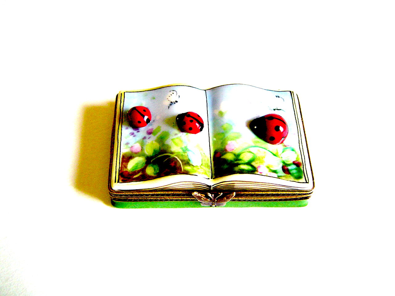 Insect book with lady bugs-3D