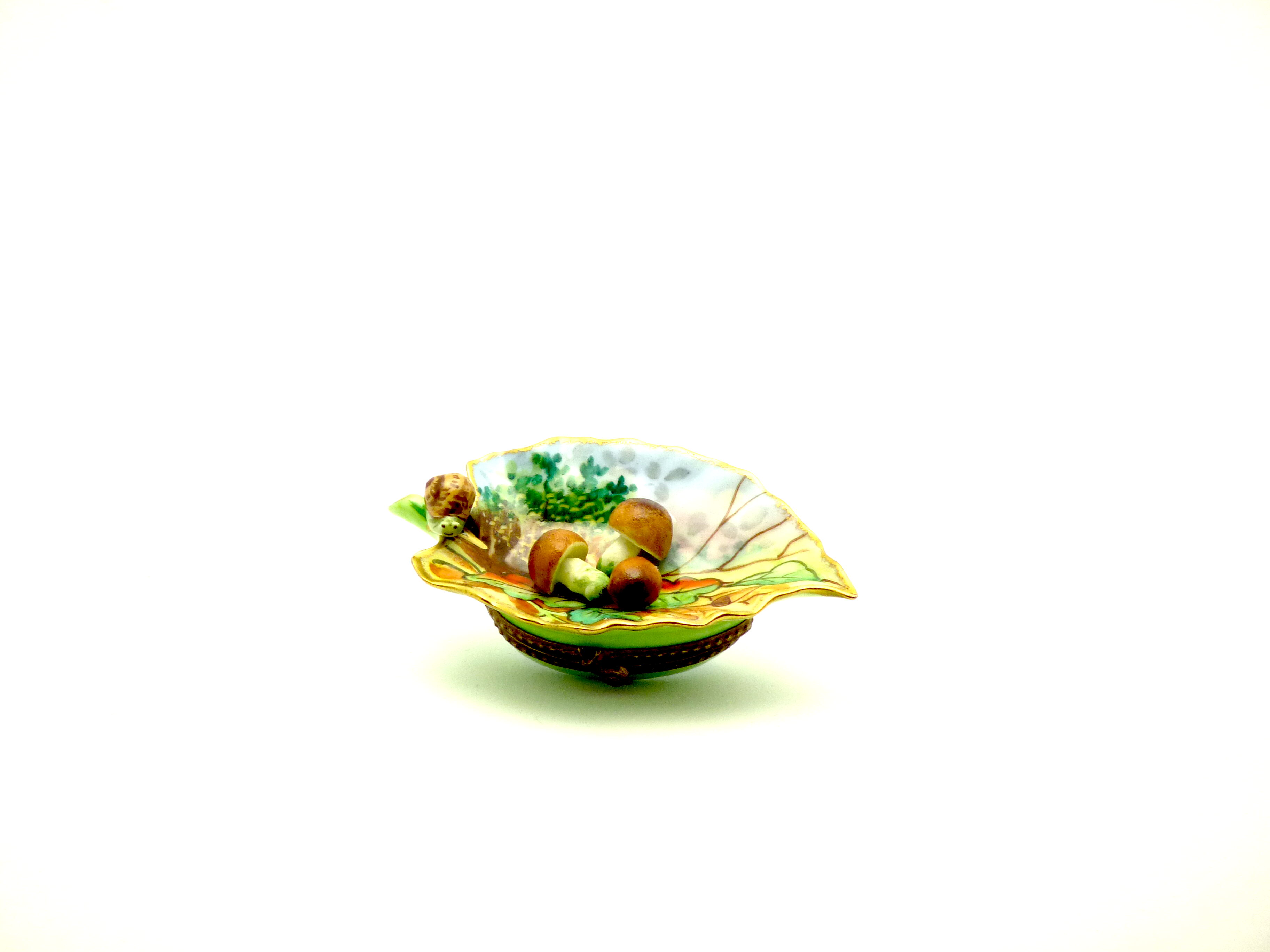 Leaf with mushrooms & snail