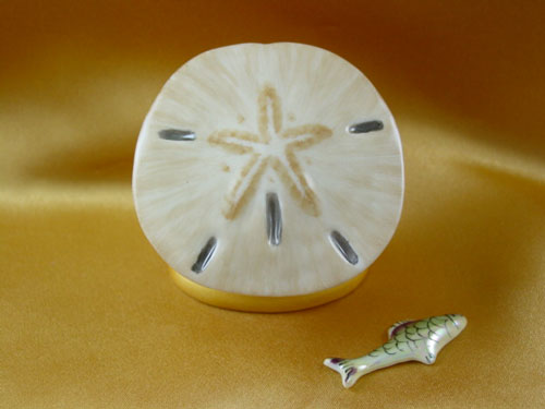 Sand dollar with fish