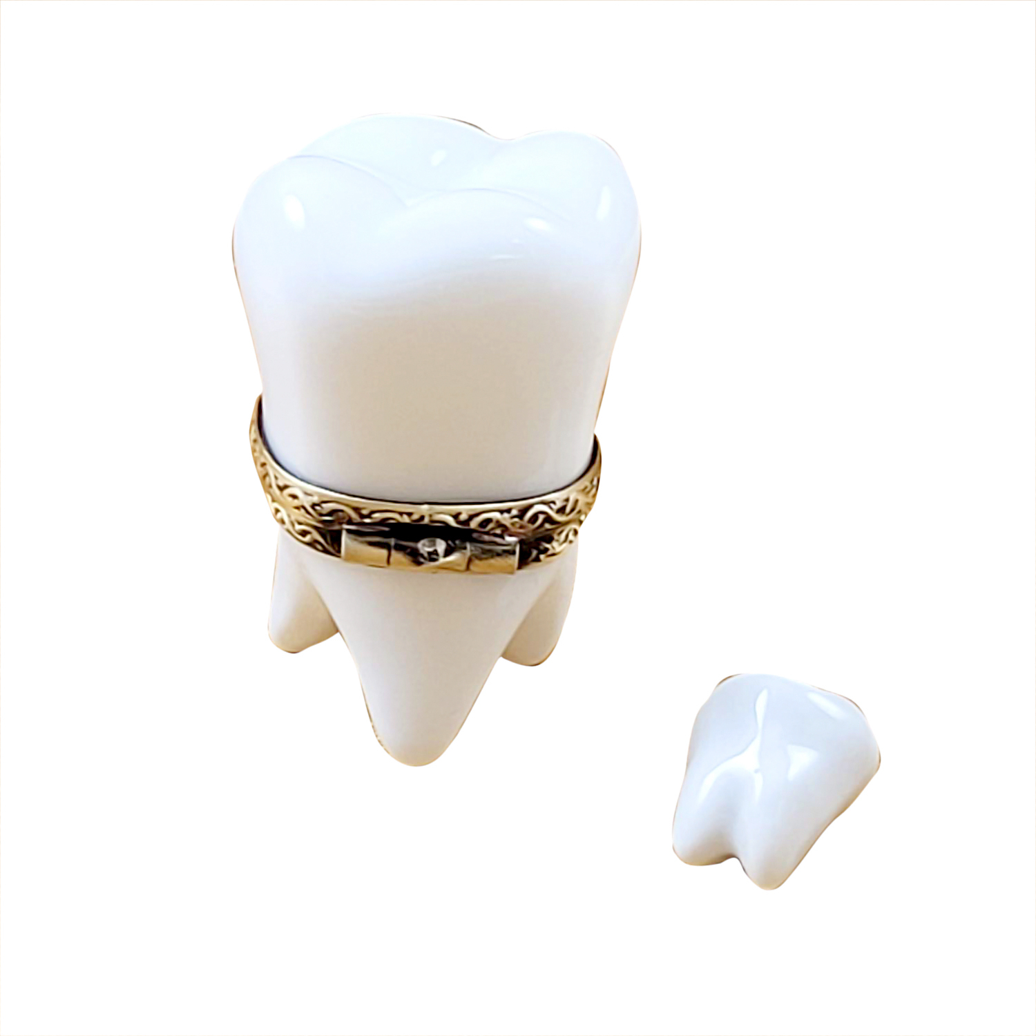 Baby Tooth with Removable Tooth