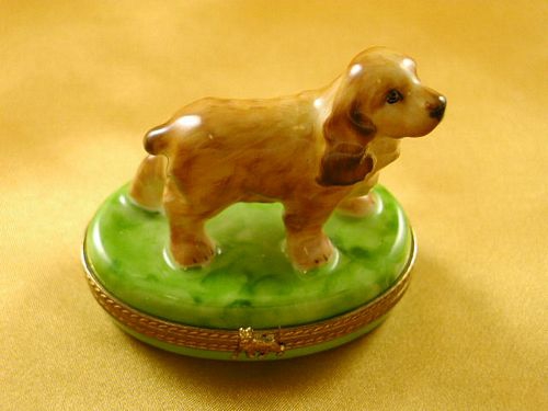 COCKER SPANIEL