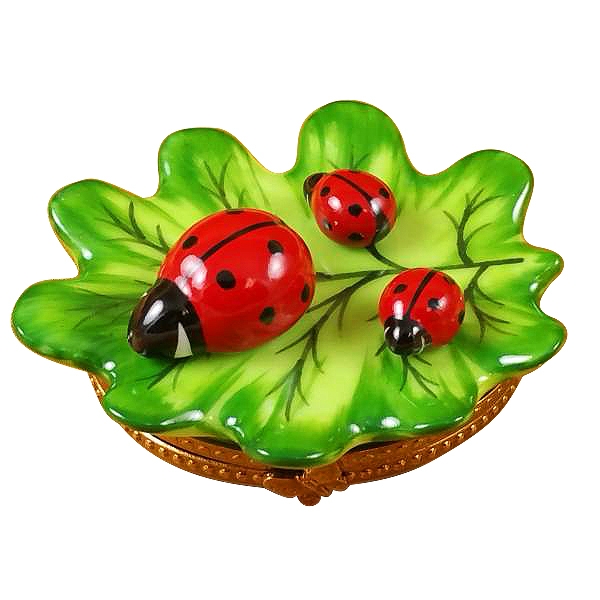 Green leaf with three ladybugs