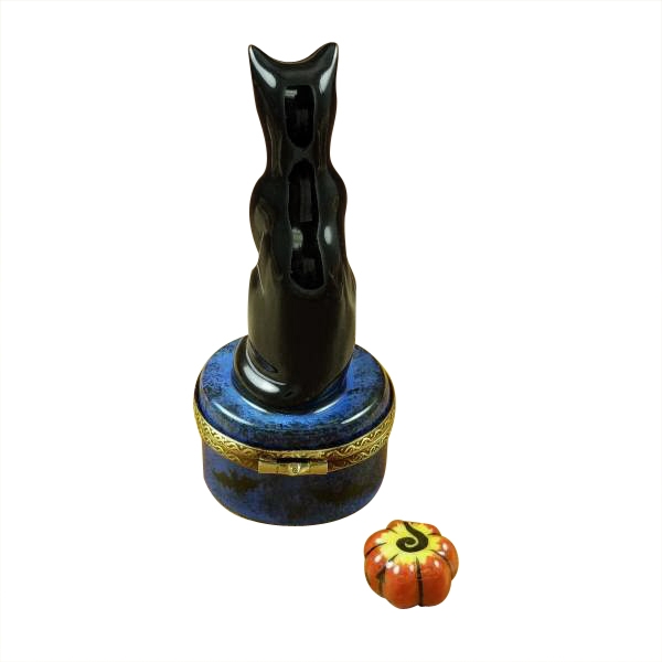 Black cat on night sky scene with removable pumpkin