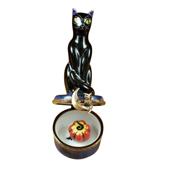 Black cat on night sky scene with removable pumpkin